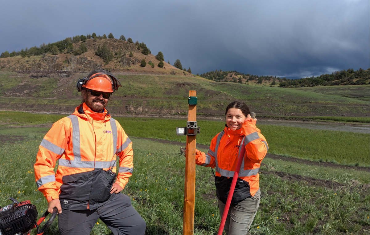 Dylan Keel (Fisheries Ecologist) and Brissa Garcia (Wildlife Biologist) installing wildlife cameras in the former Iron Gate Reservoir on the Klamath River.