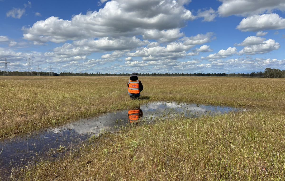 Justin Chappelle (Ecologist) on Blackburn Vernal pool conservation bank.