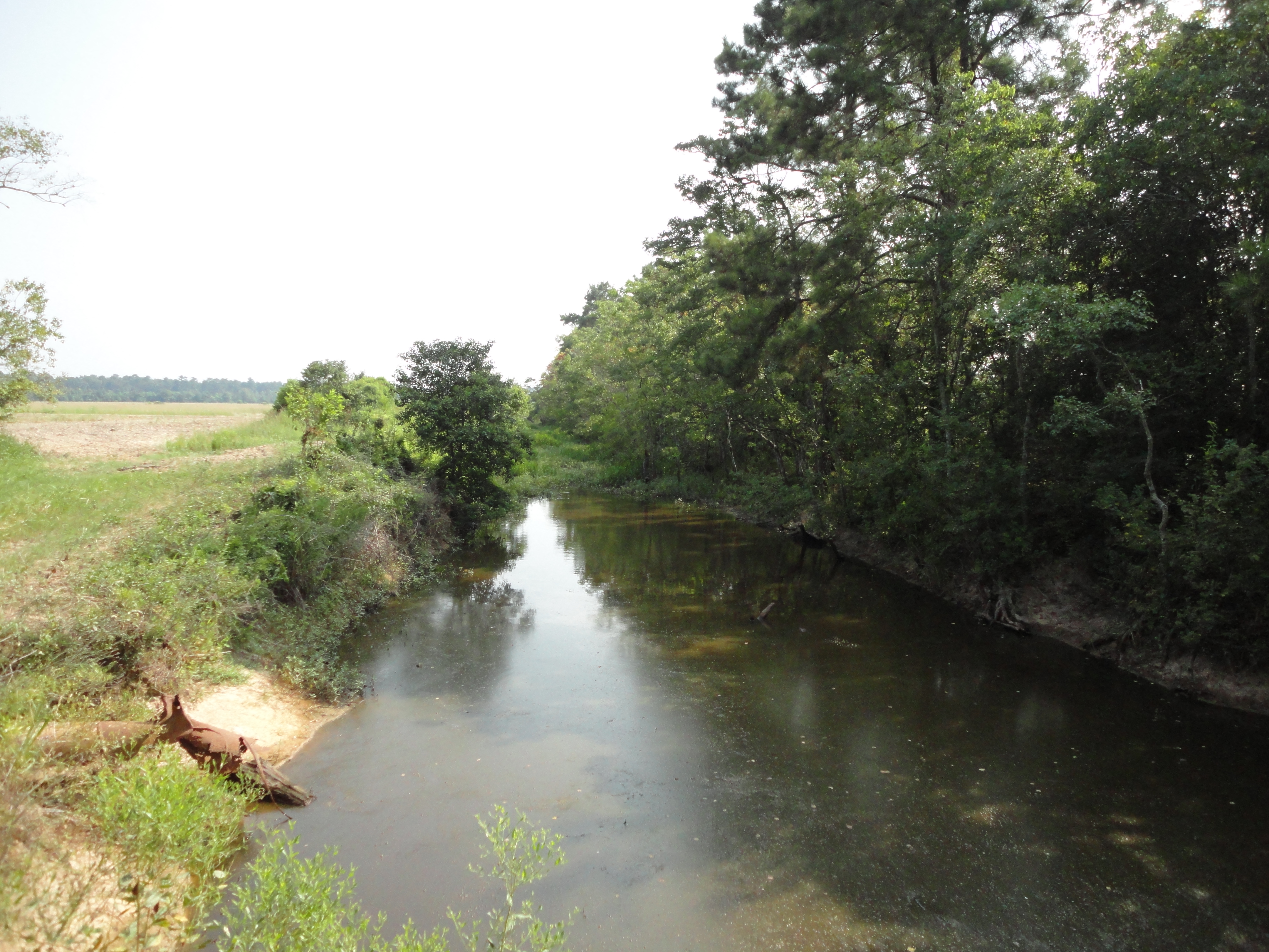 Caney Creek Wetland Mitigation Bank