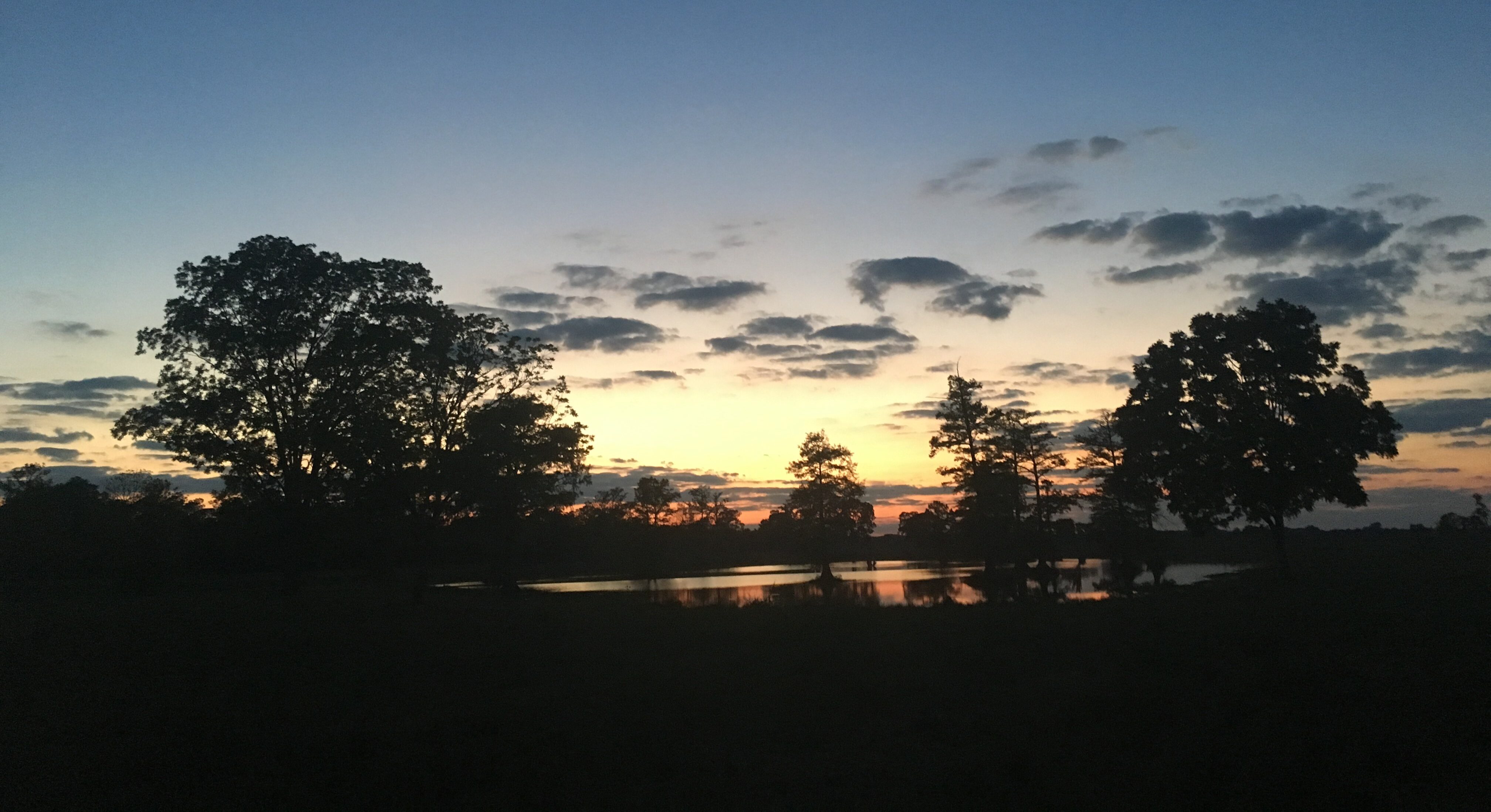 Little Eva Mitigation Bank