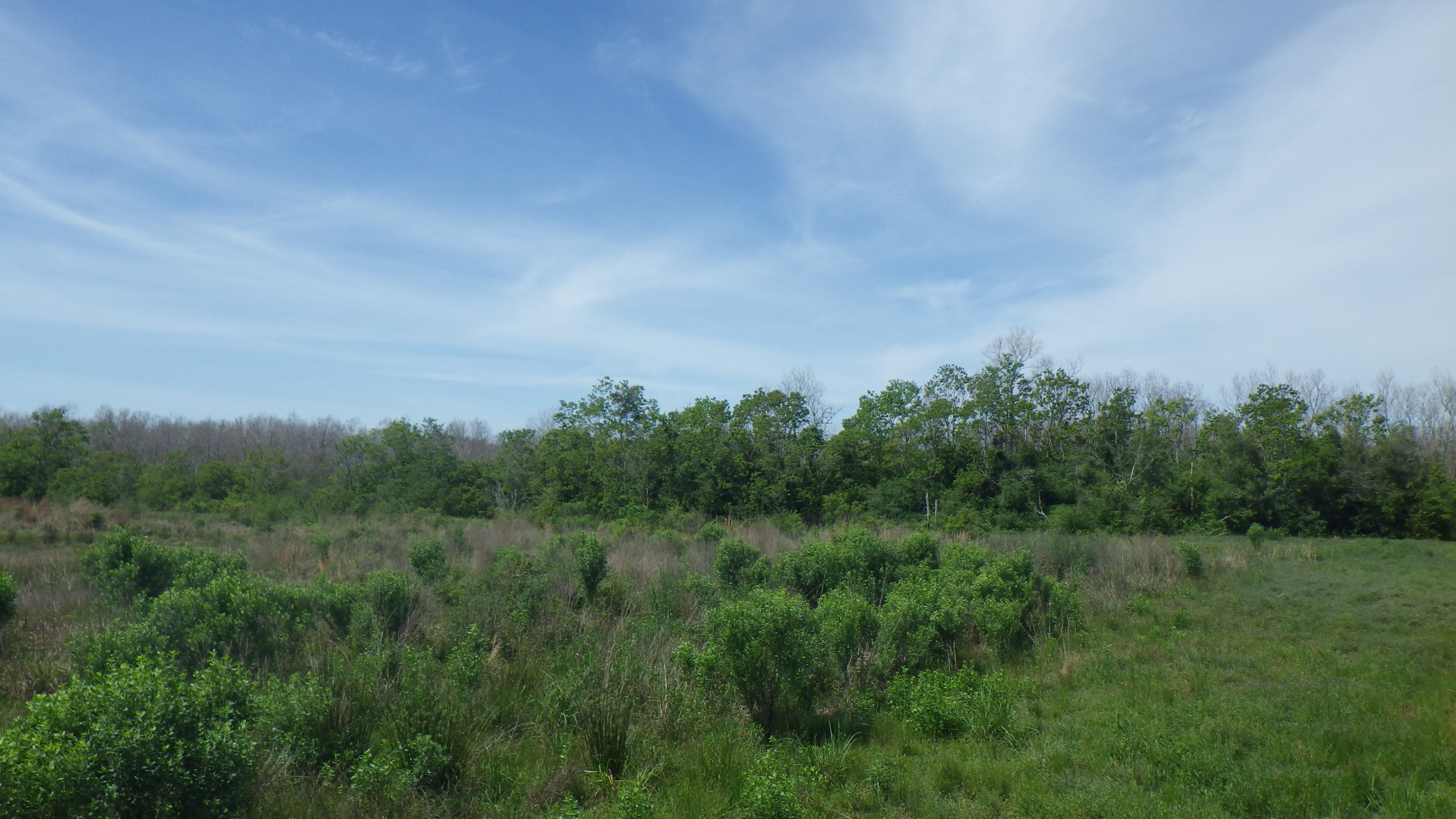 Petit Bois Wetland Mitigation Bank (Coastal)