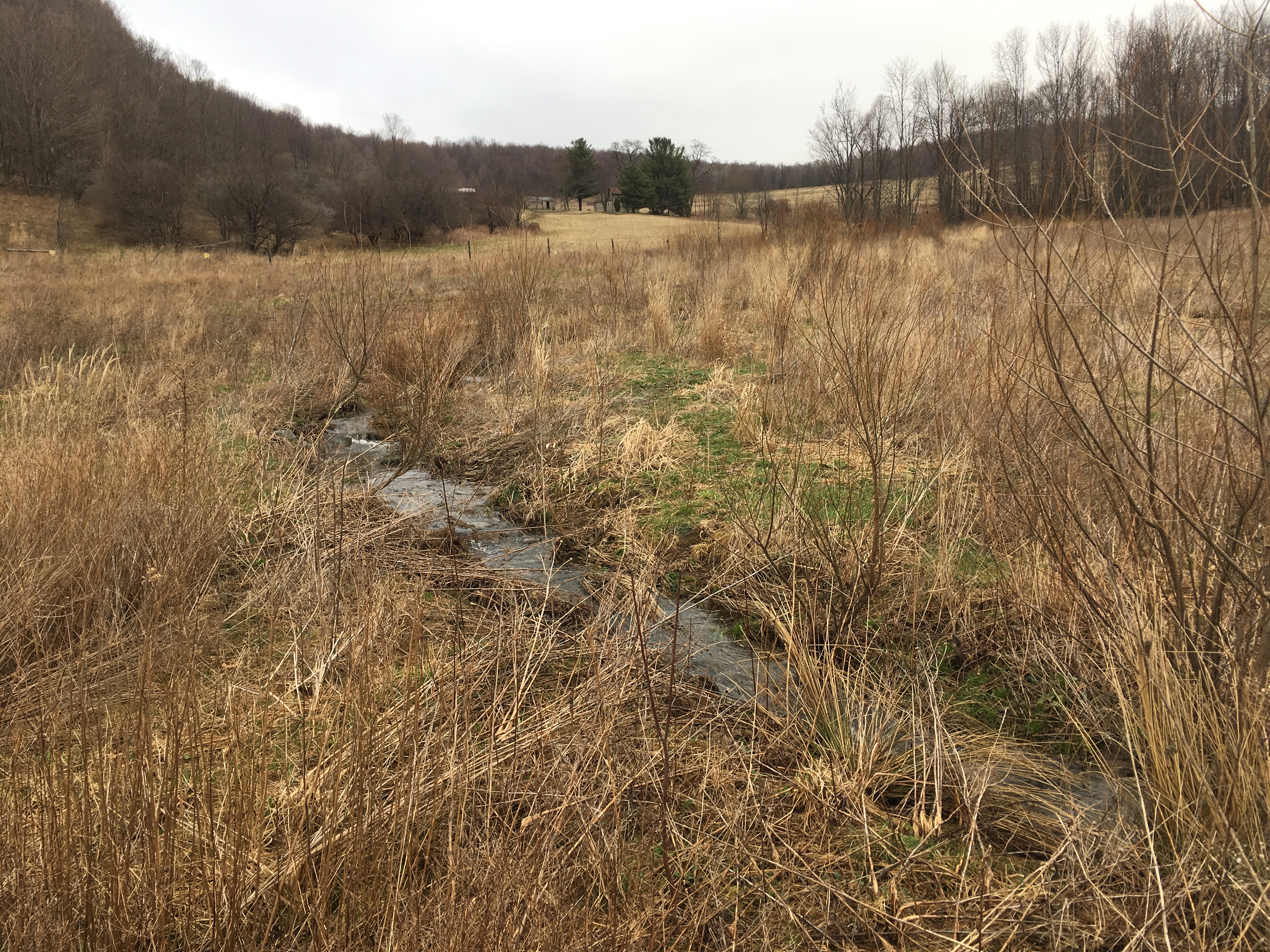 Upper Susquehanna River – Phase I Stream Mitigation Bank