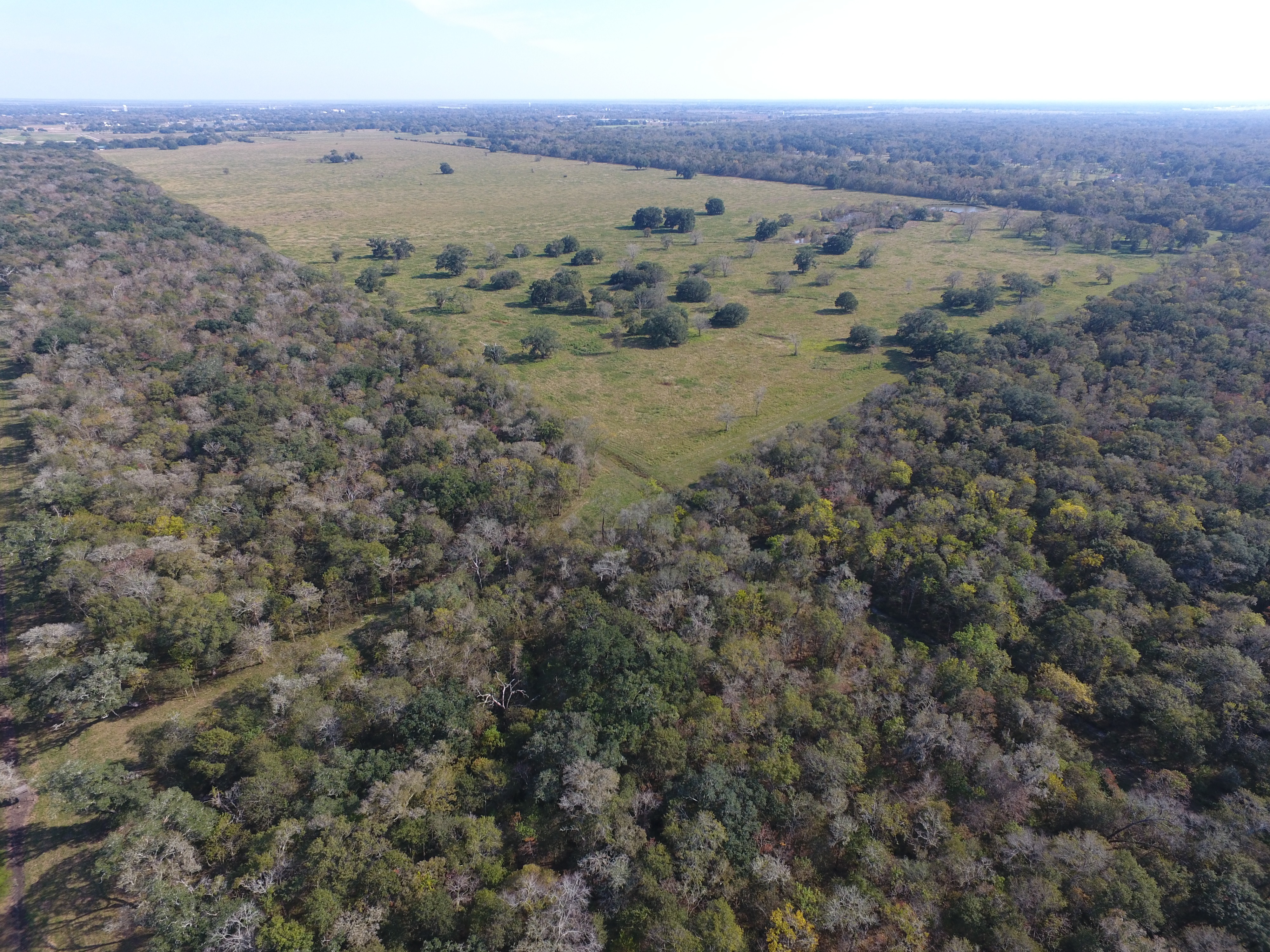 Columbia Bottomlands Wetland Mitigation Bank