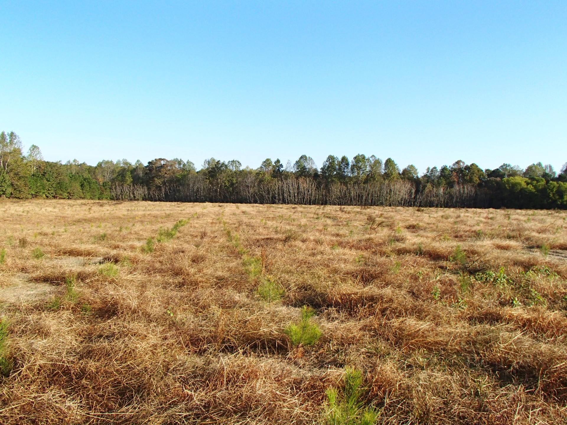 Dillon Grove Nutrient Bank