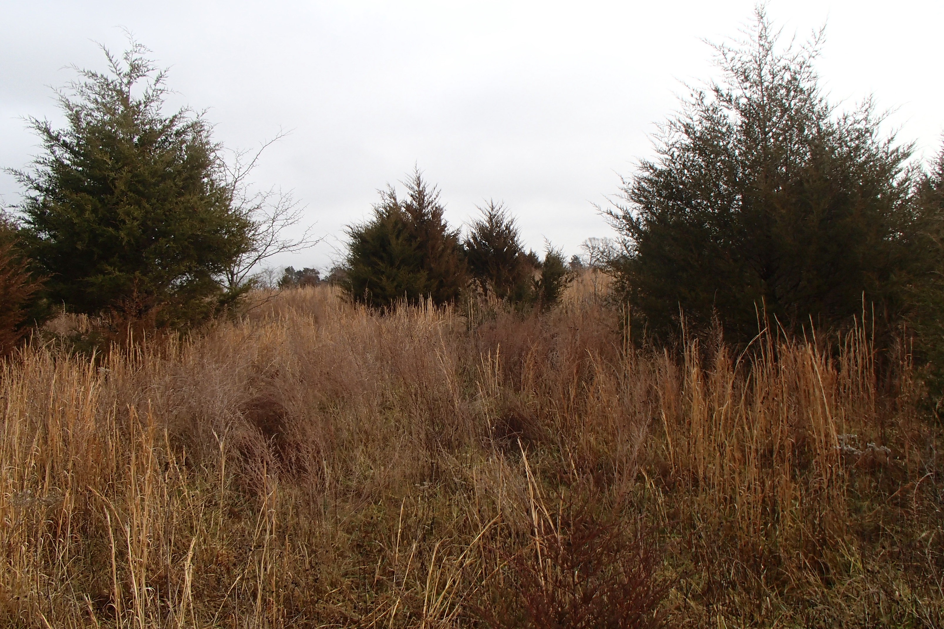 Eastview Farm Nutrient Bank