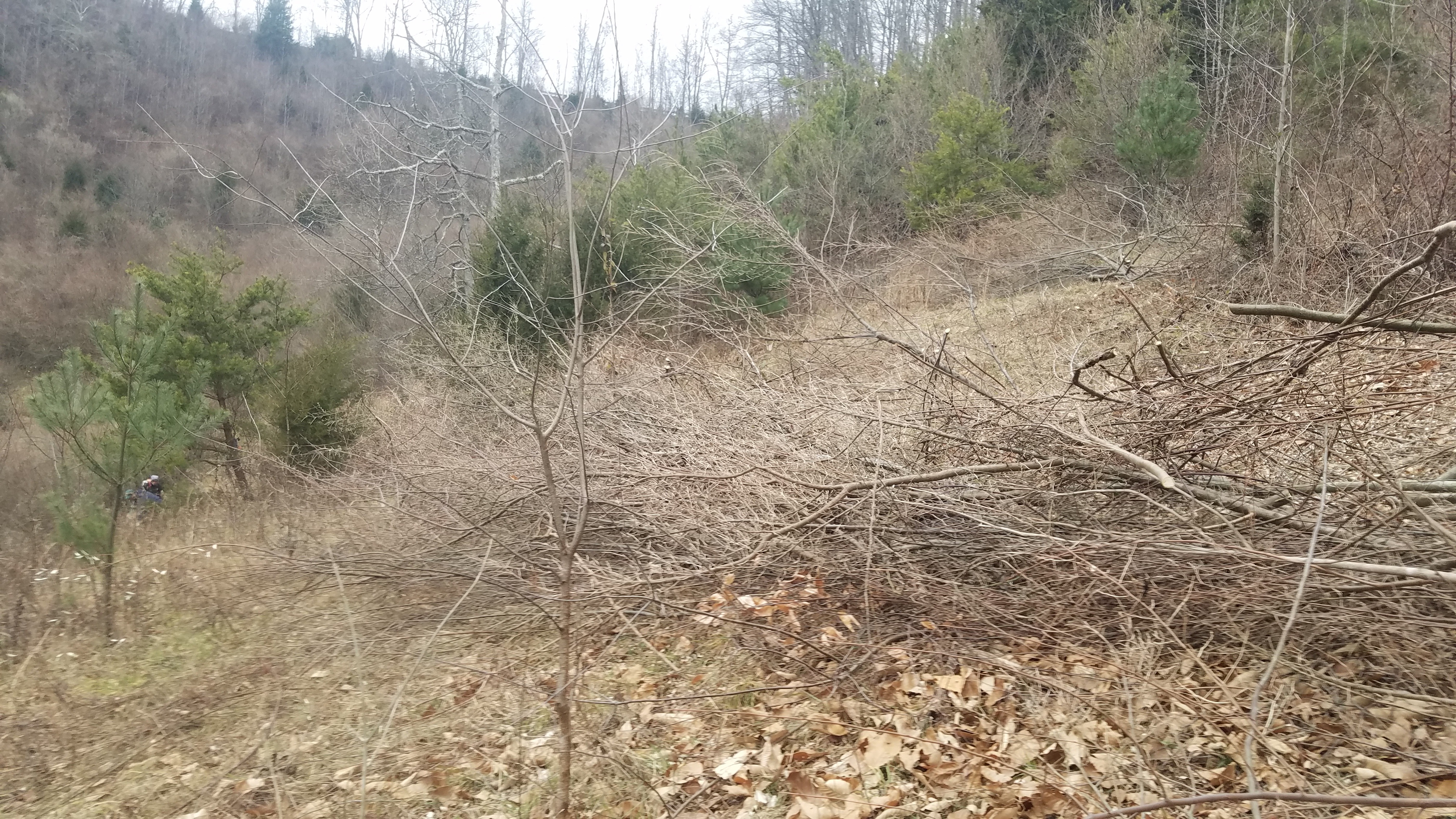 Lincoln’s Bend Nutrient Bank
