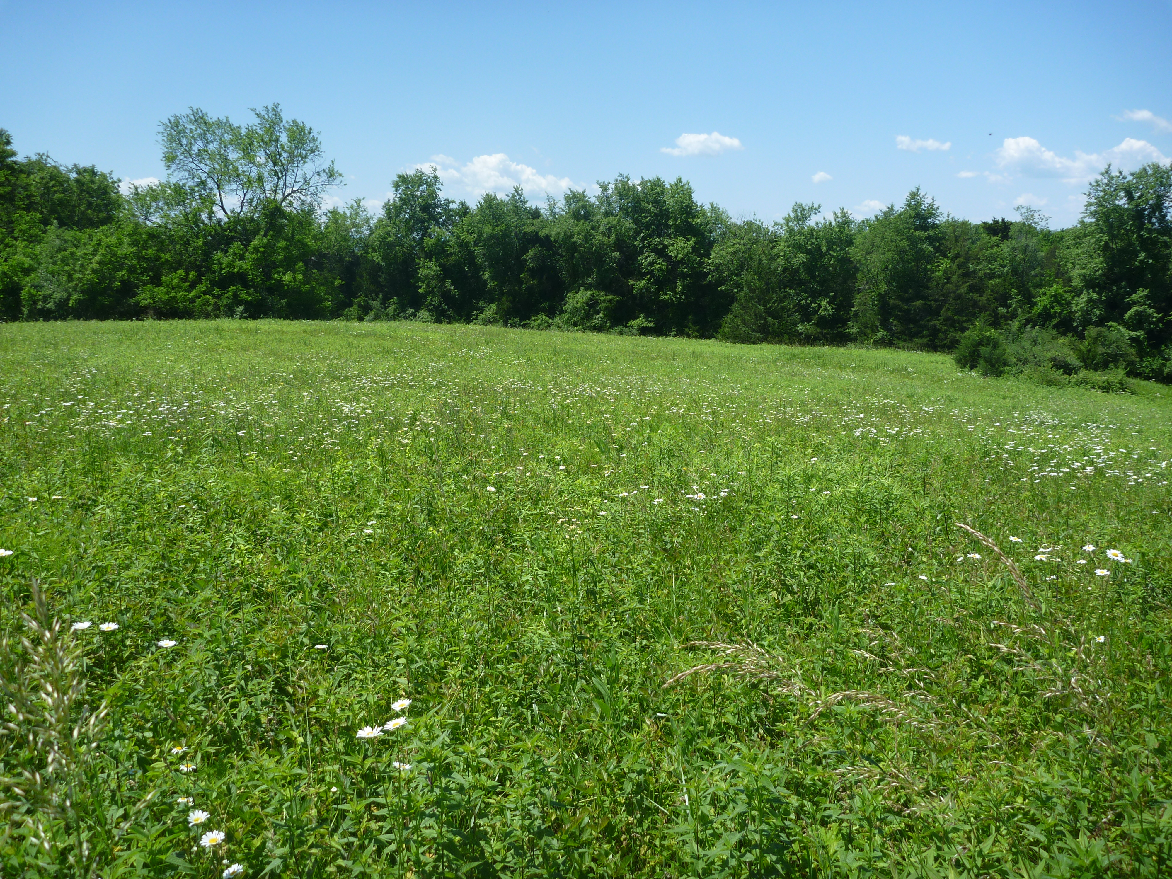 Stone Bridge Nutrient Bank