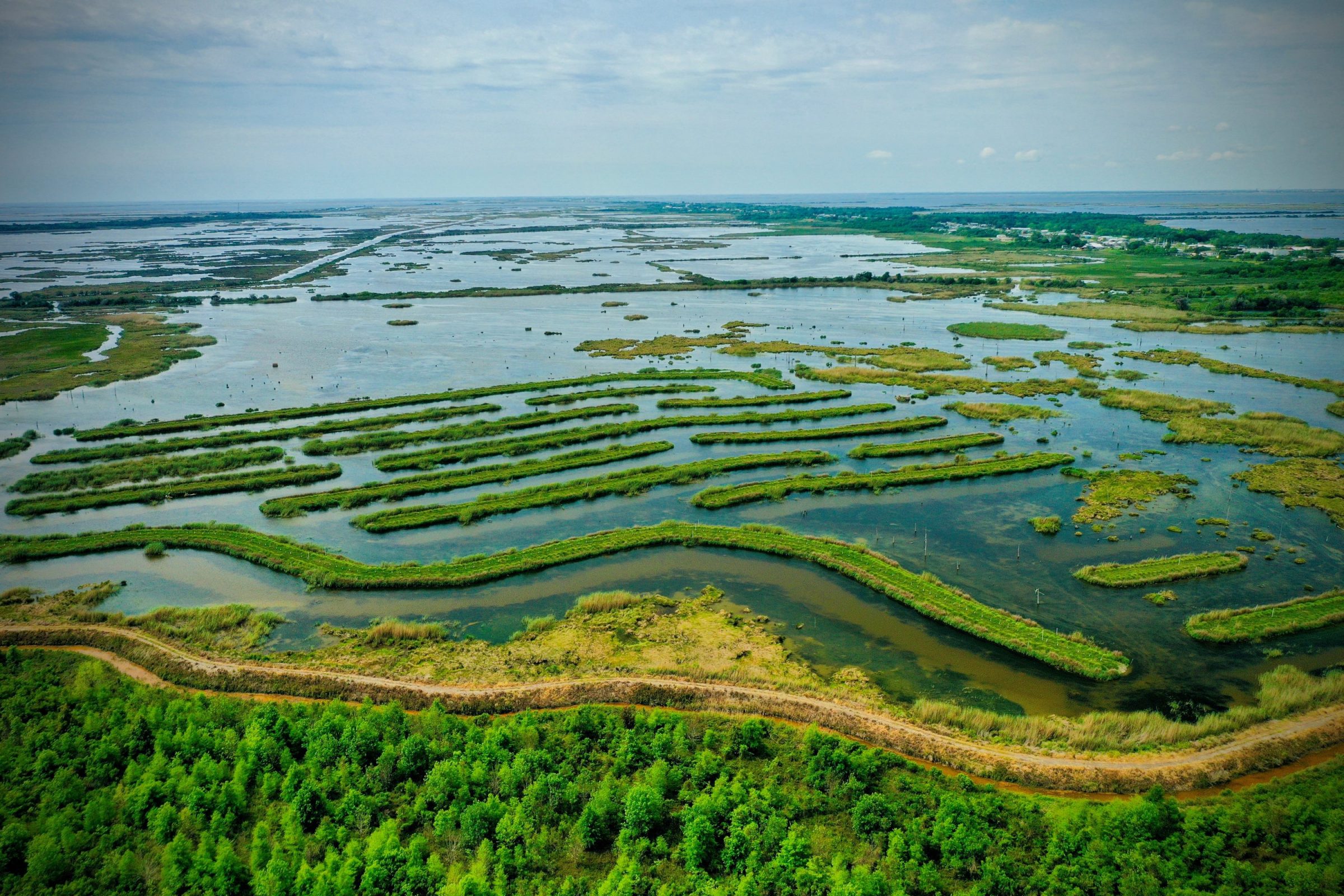 BHP Marsh Terraces