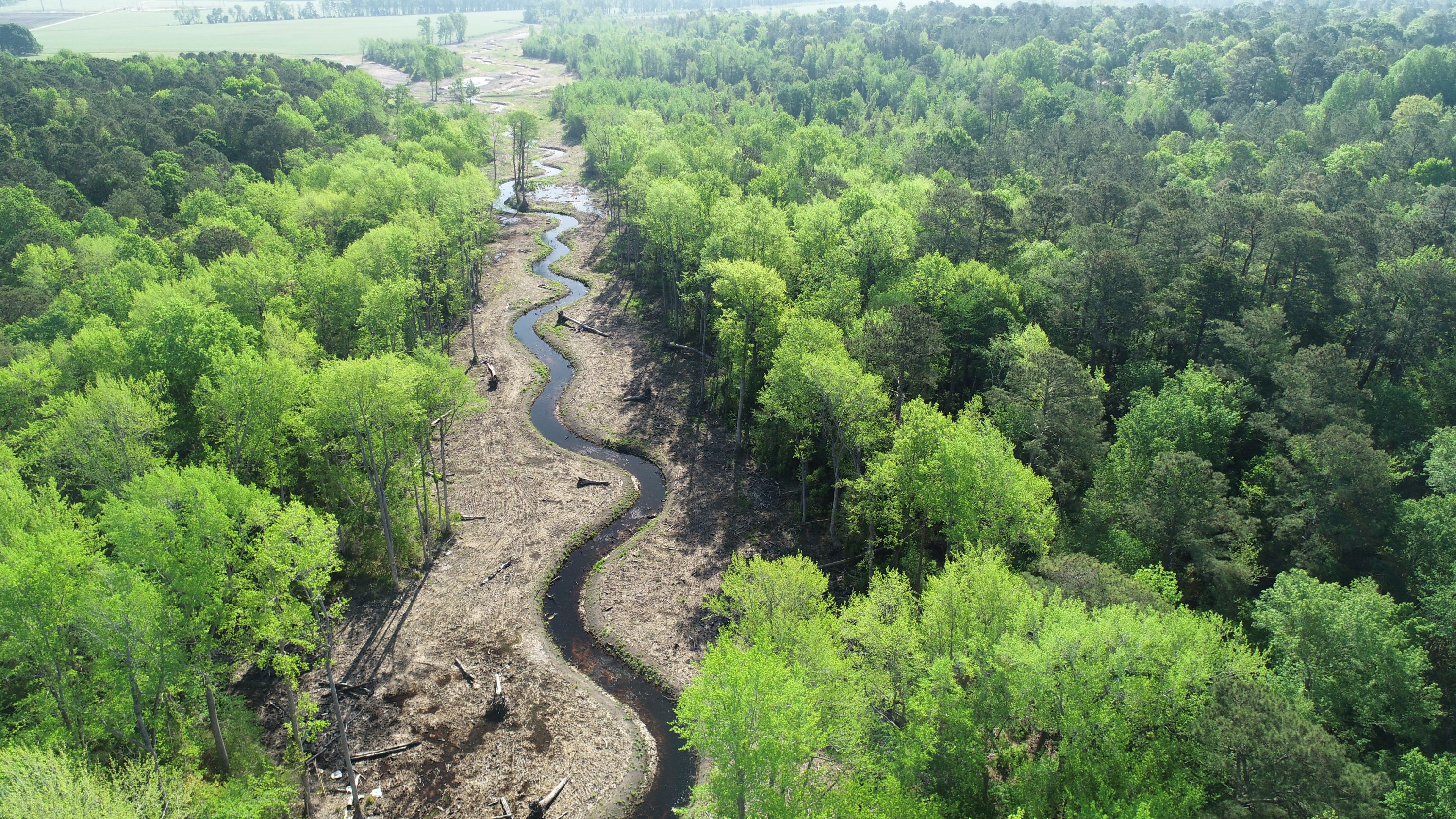 Dugout Stream & Wetland Mitigation Bank