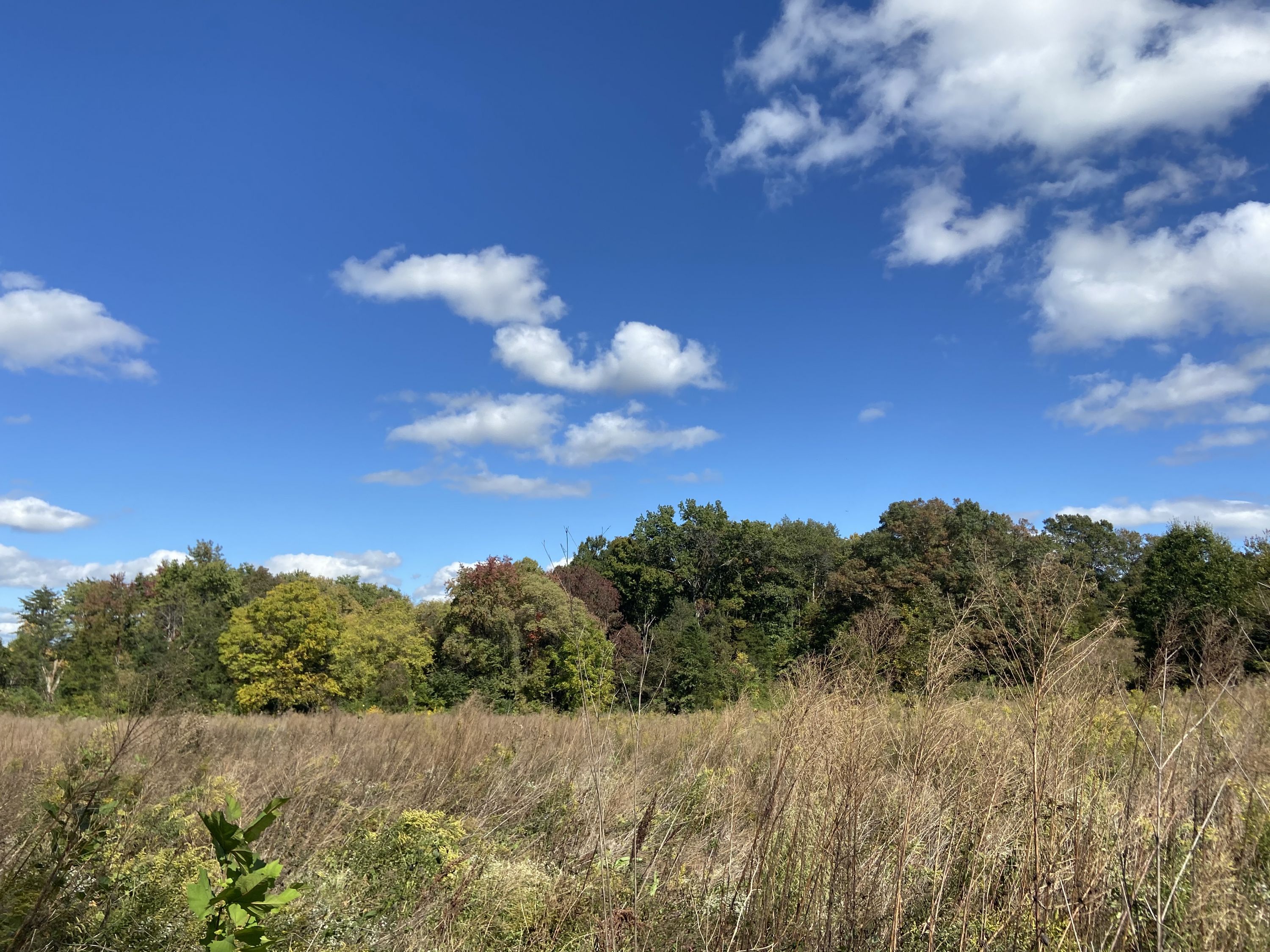 Belle Meade Nutrient Bank
