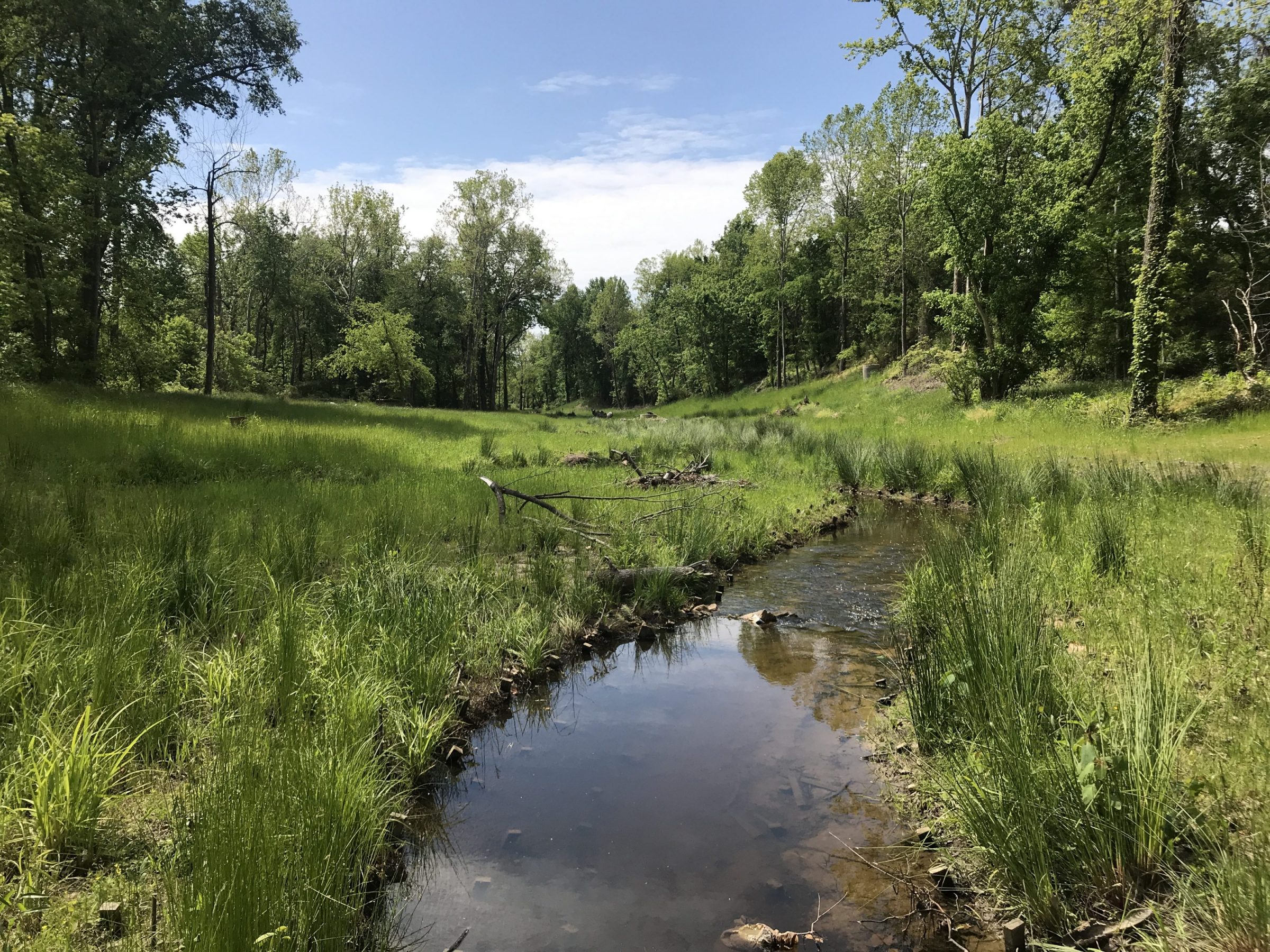 Little Westham University of Richmond 2
