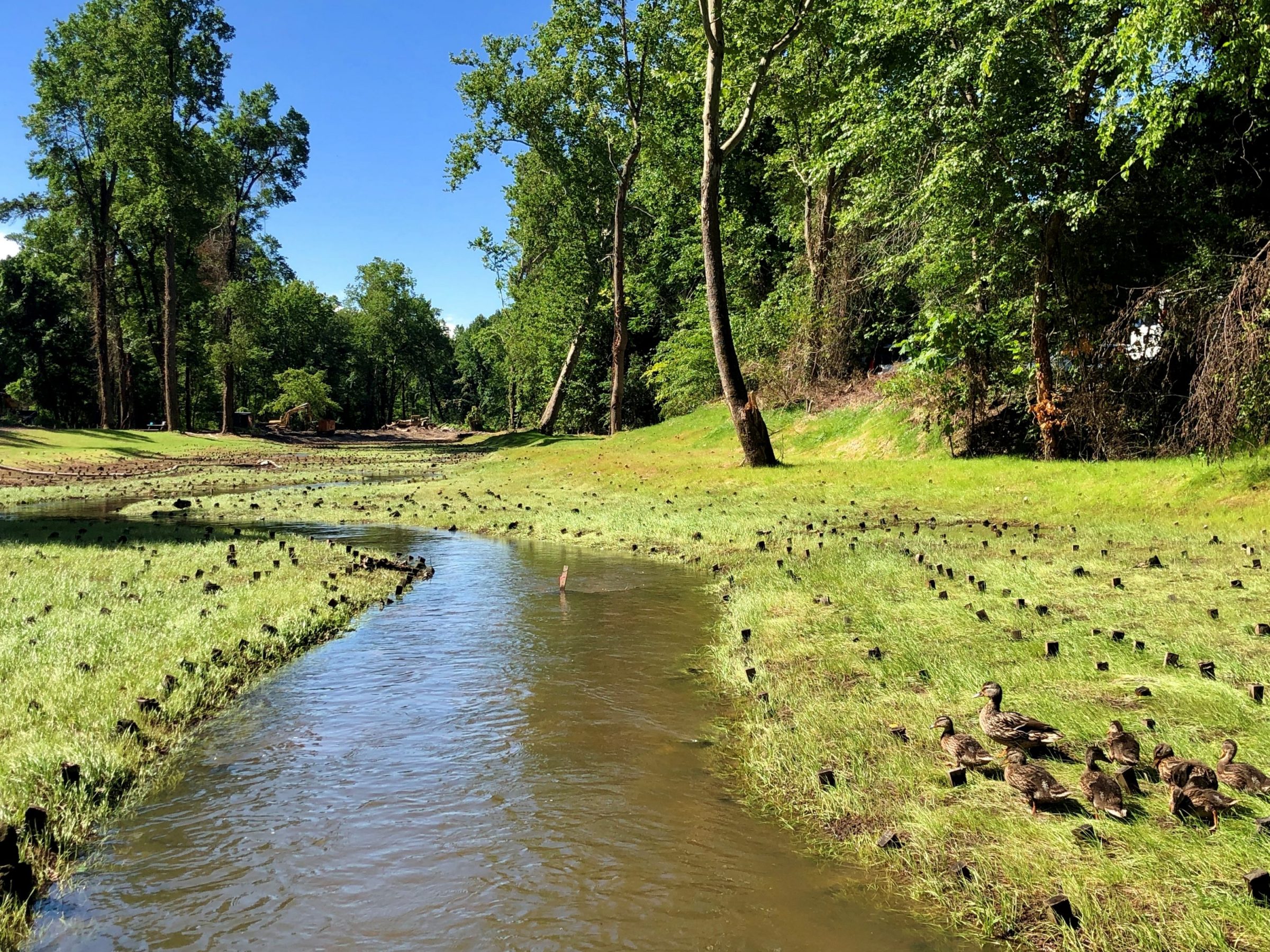 Little Westham University of Richmond 3