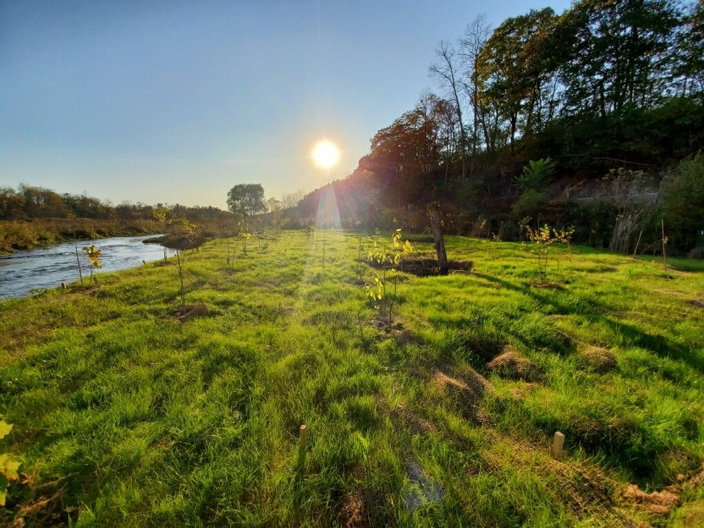 Lock Haven Stream Restoration Oct 2019 Clinton Cnty