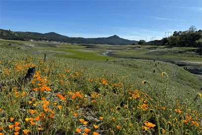 Lower Klamath River — Klamath River, CA & OR
