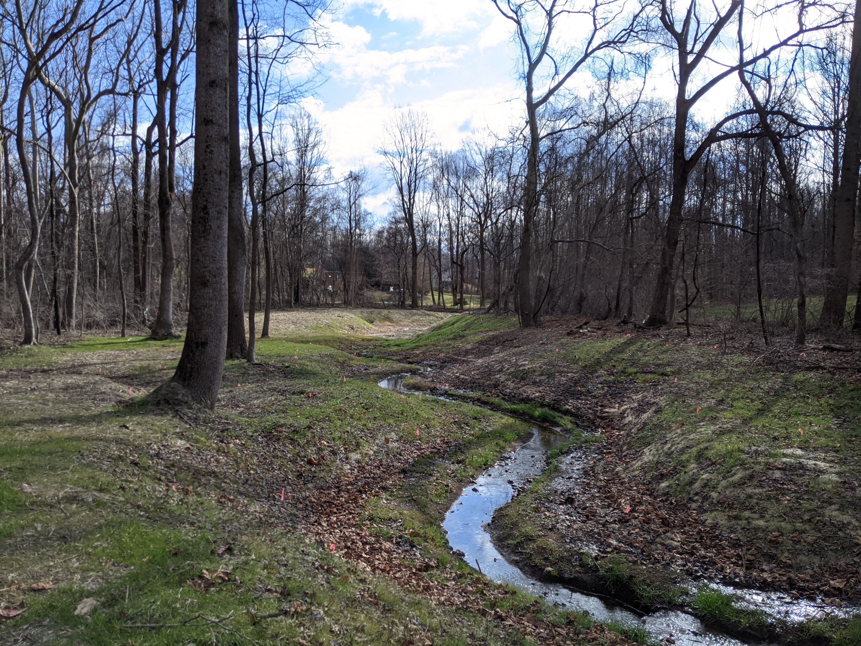 Crain Stream Restoration