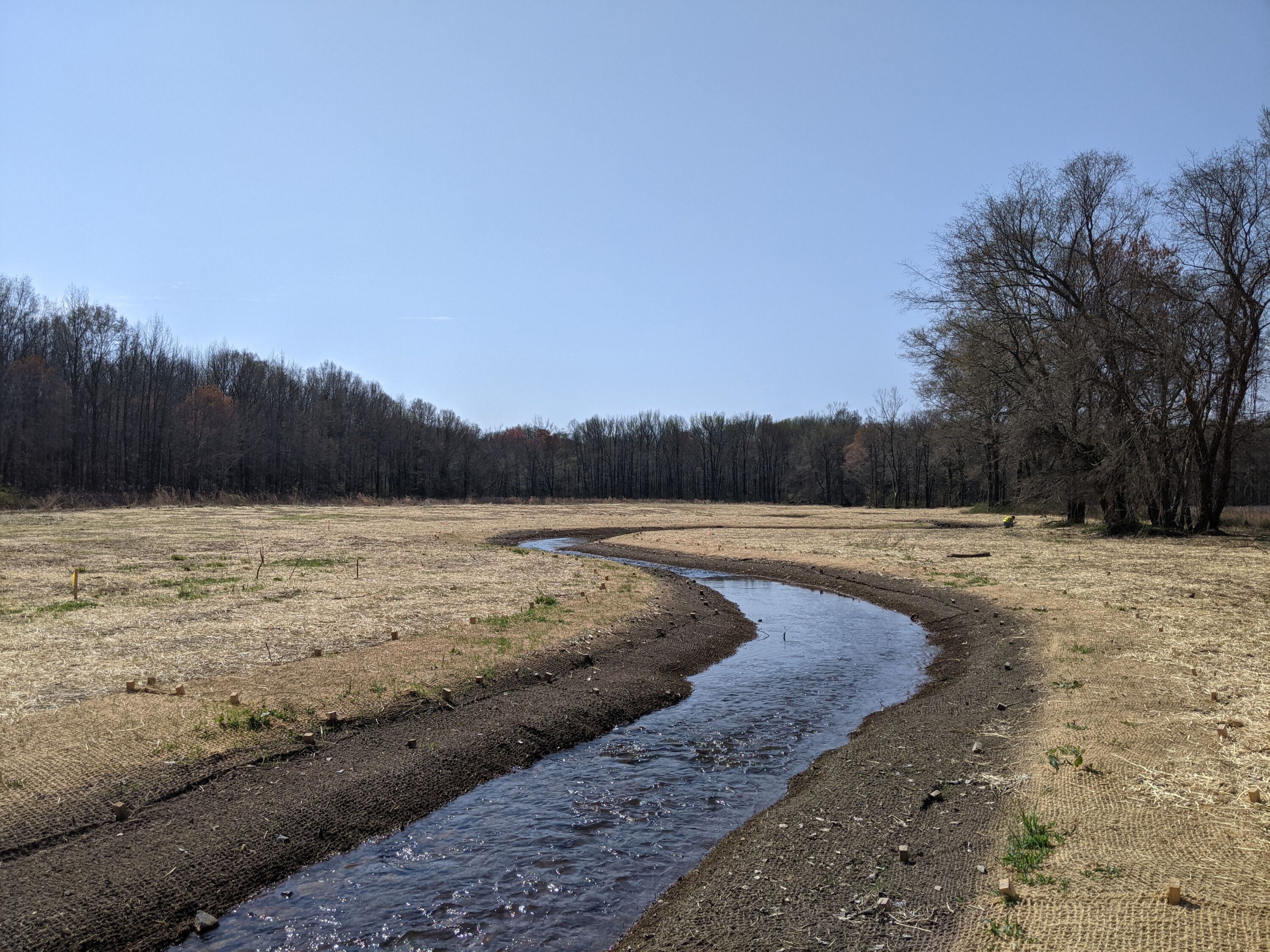 Tributary to Mattawoman Creek