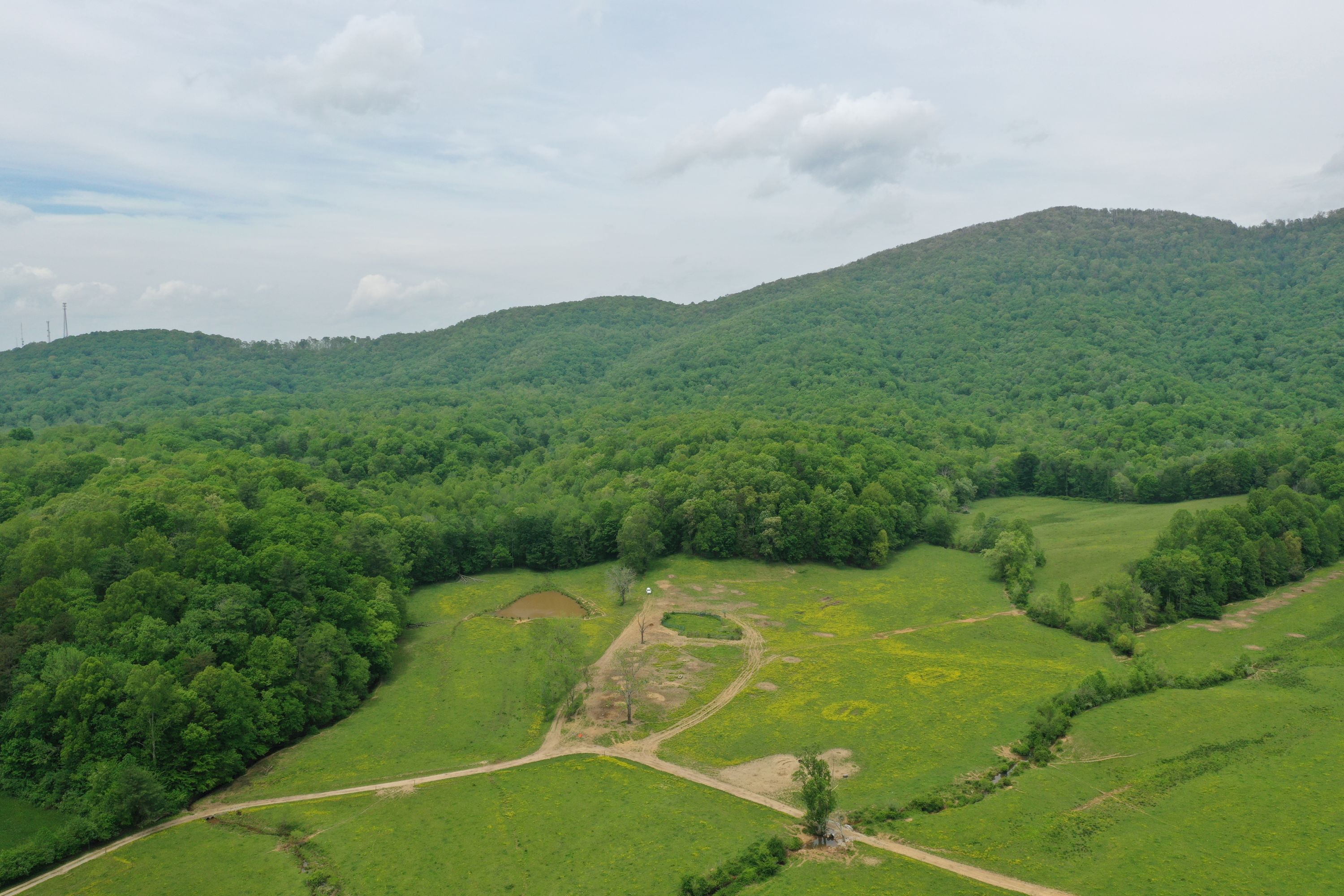 Mud Creek Stream Mitigation Bank