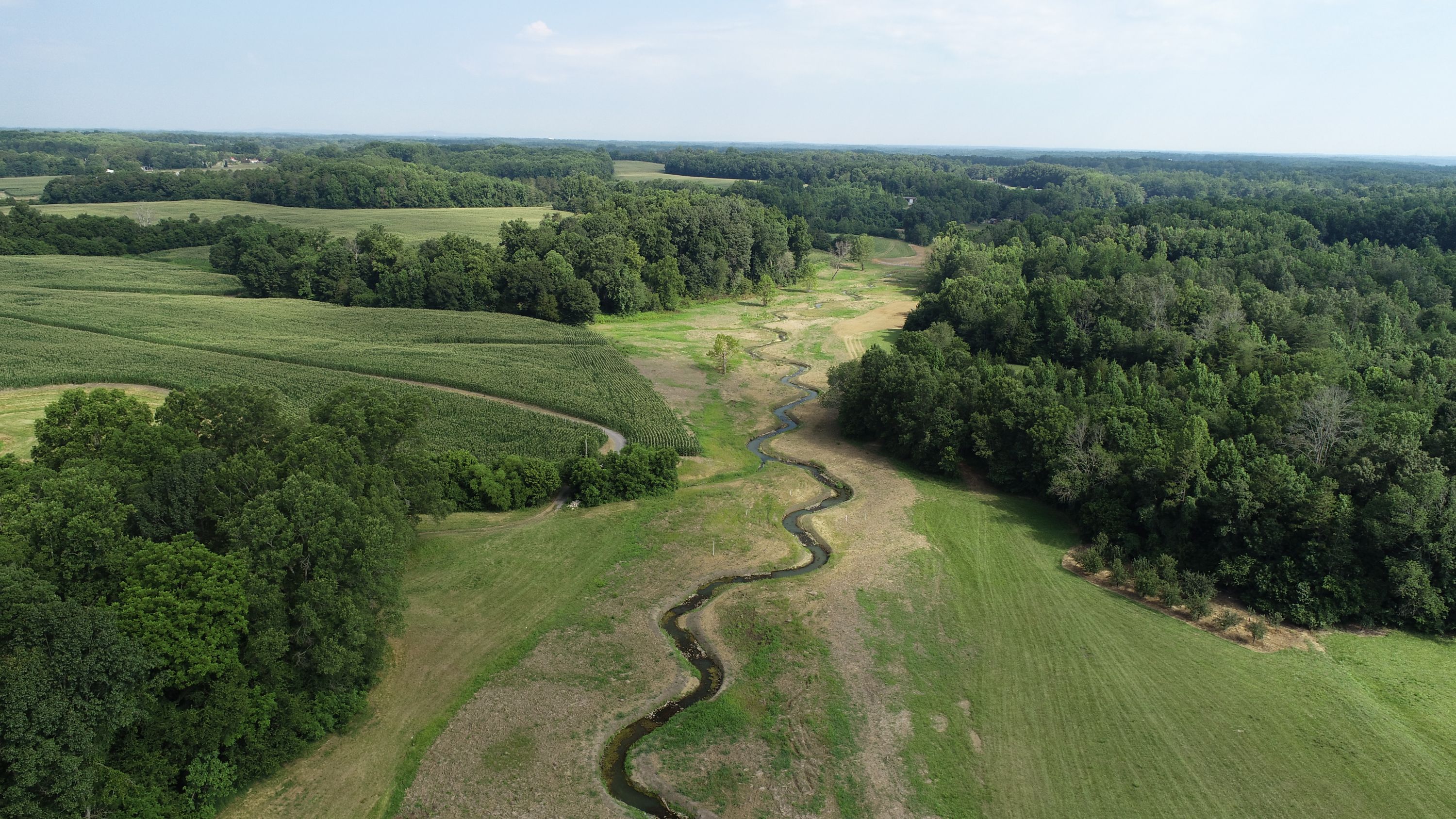 Scout Mitigation Project