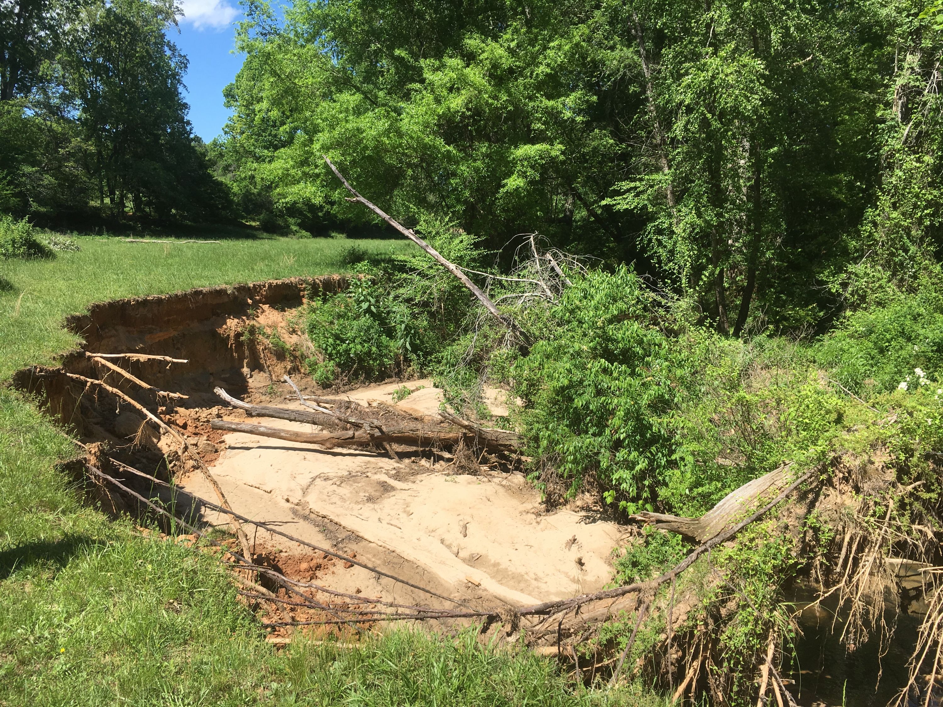 Dogtown Mitigation Bank