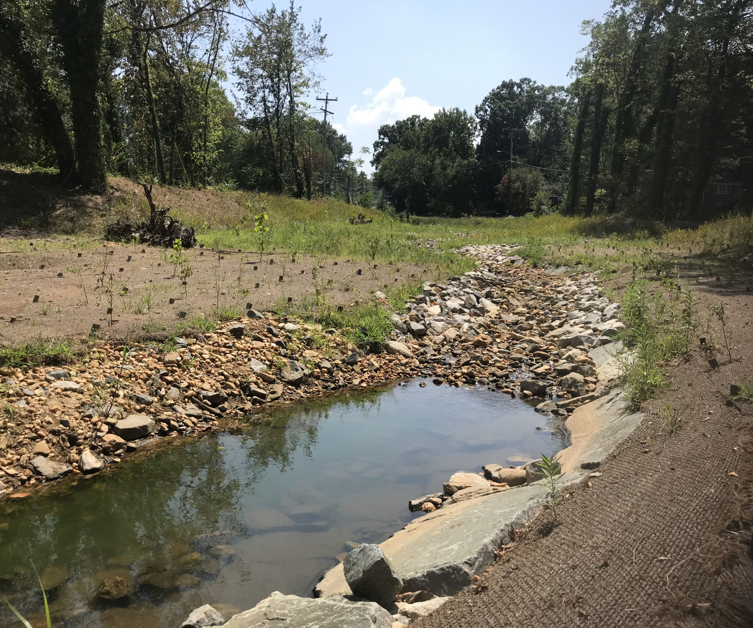 wetland-and-stream-mitigation