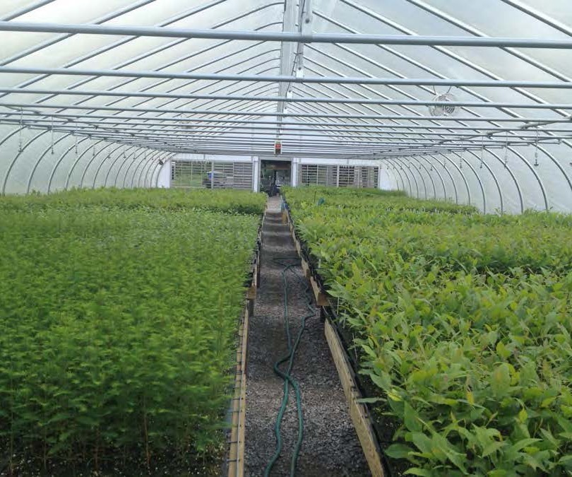 Atlantic Greenhouses Supplies