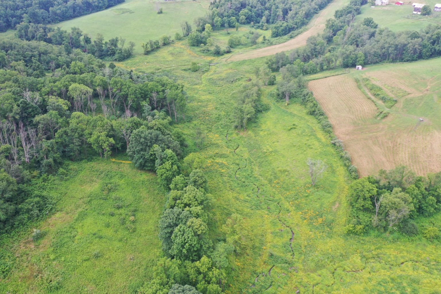 Buck Run Restoration Site I and II