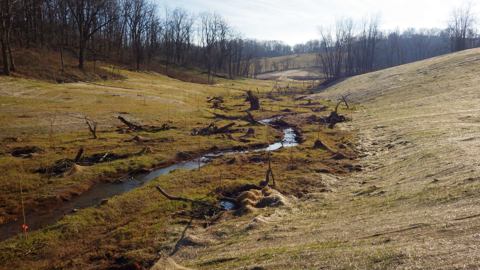 Buck Run Restoration Site I and II