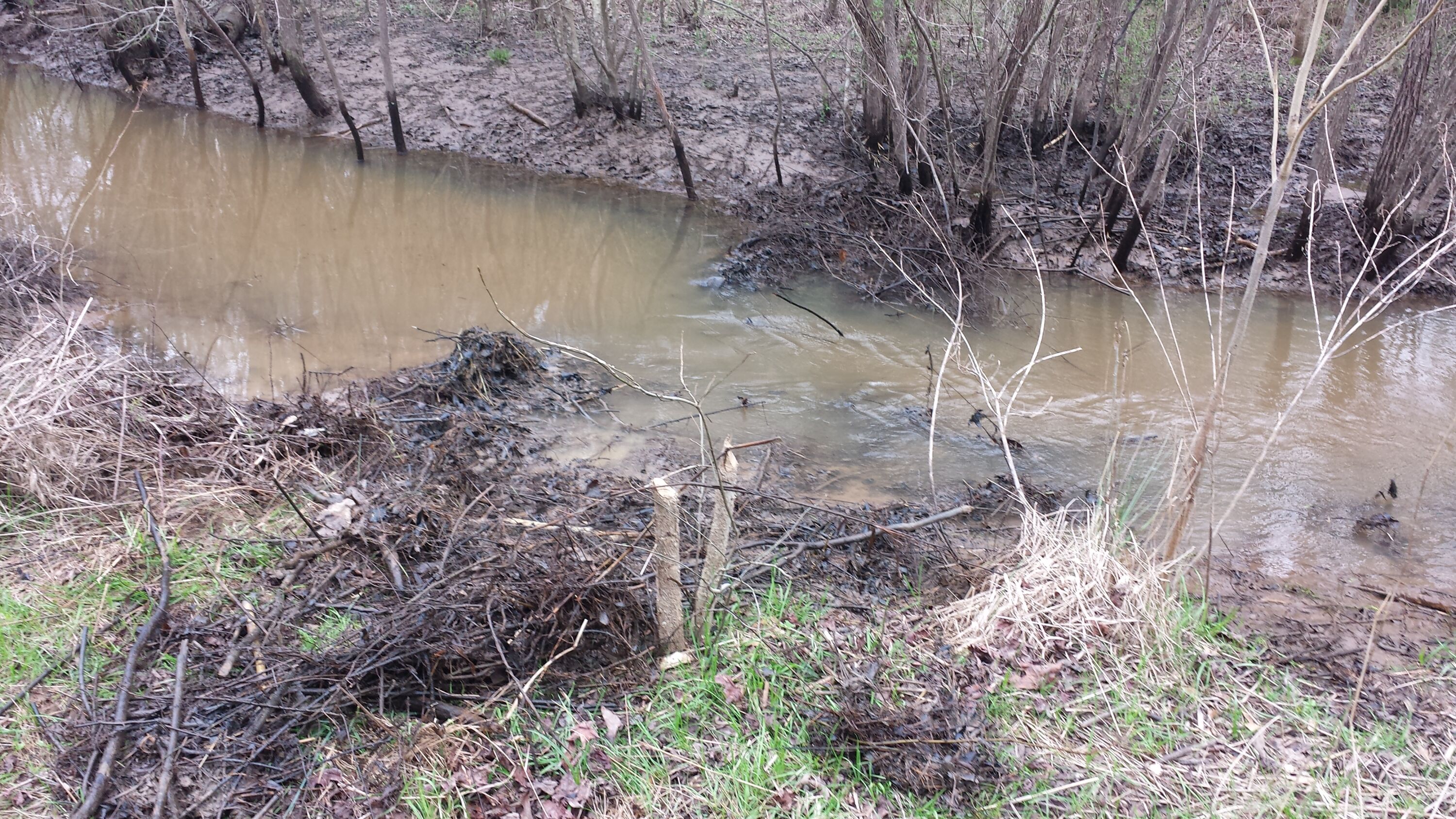 Blue Creek Mitigation Bank