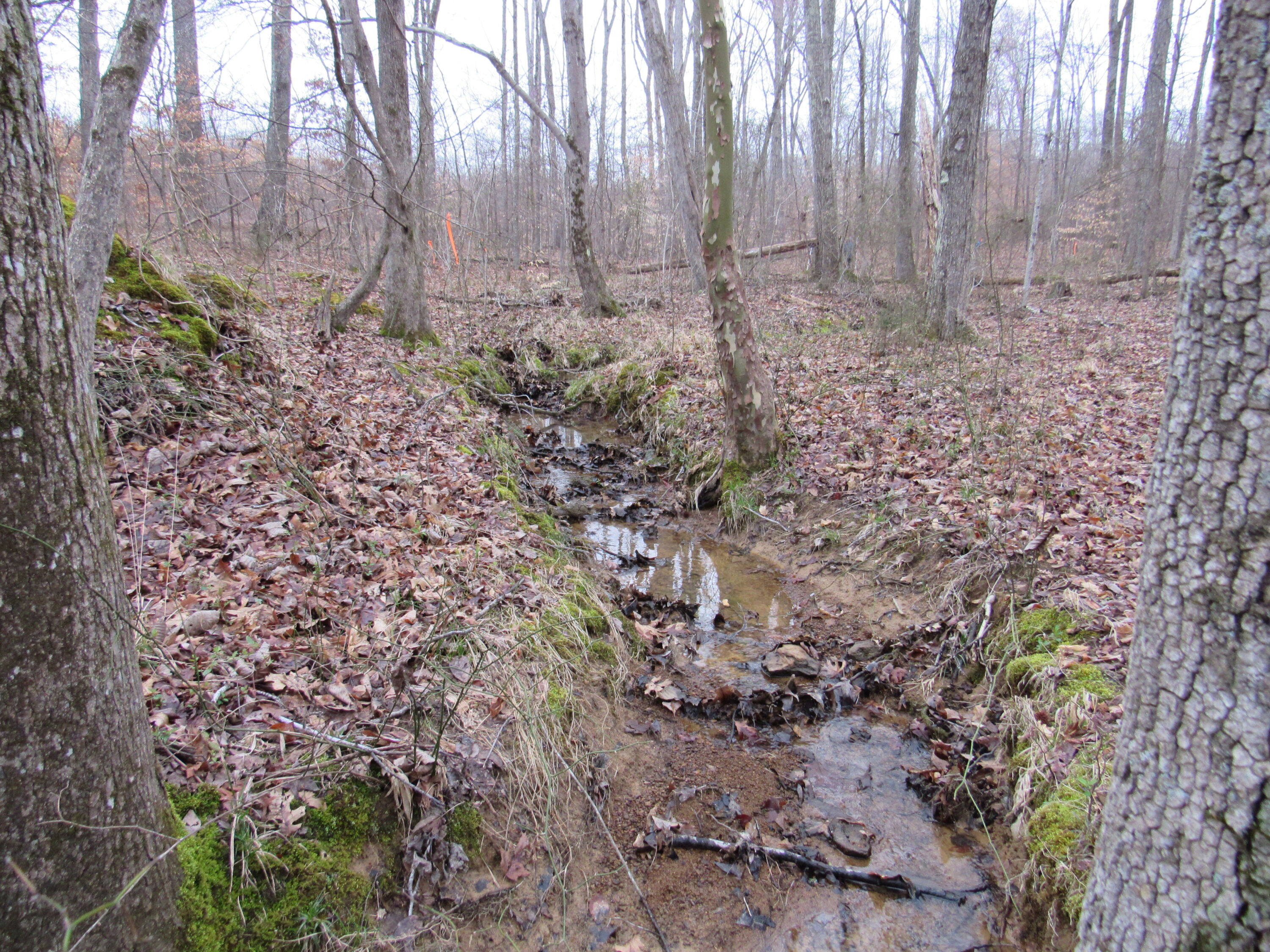 Center Point Mitigation Bank