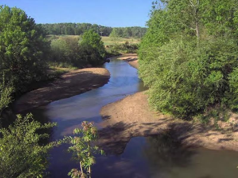 Developing meanders within channelized reach of Hard Labor Creek