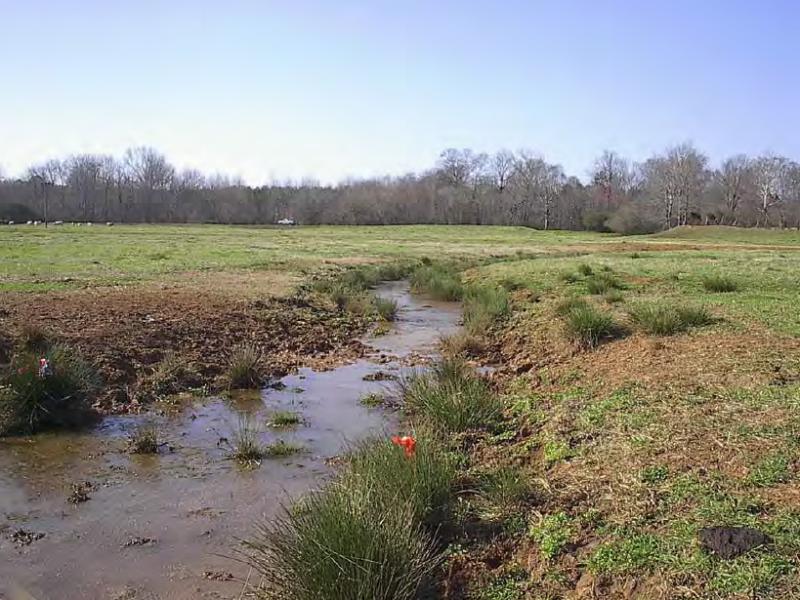 Hard Labor Creek Stream 3 at its confluence with the downstream-most ditch