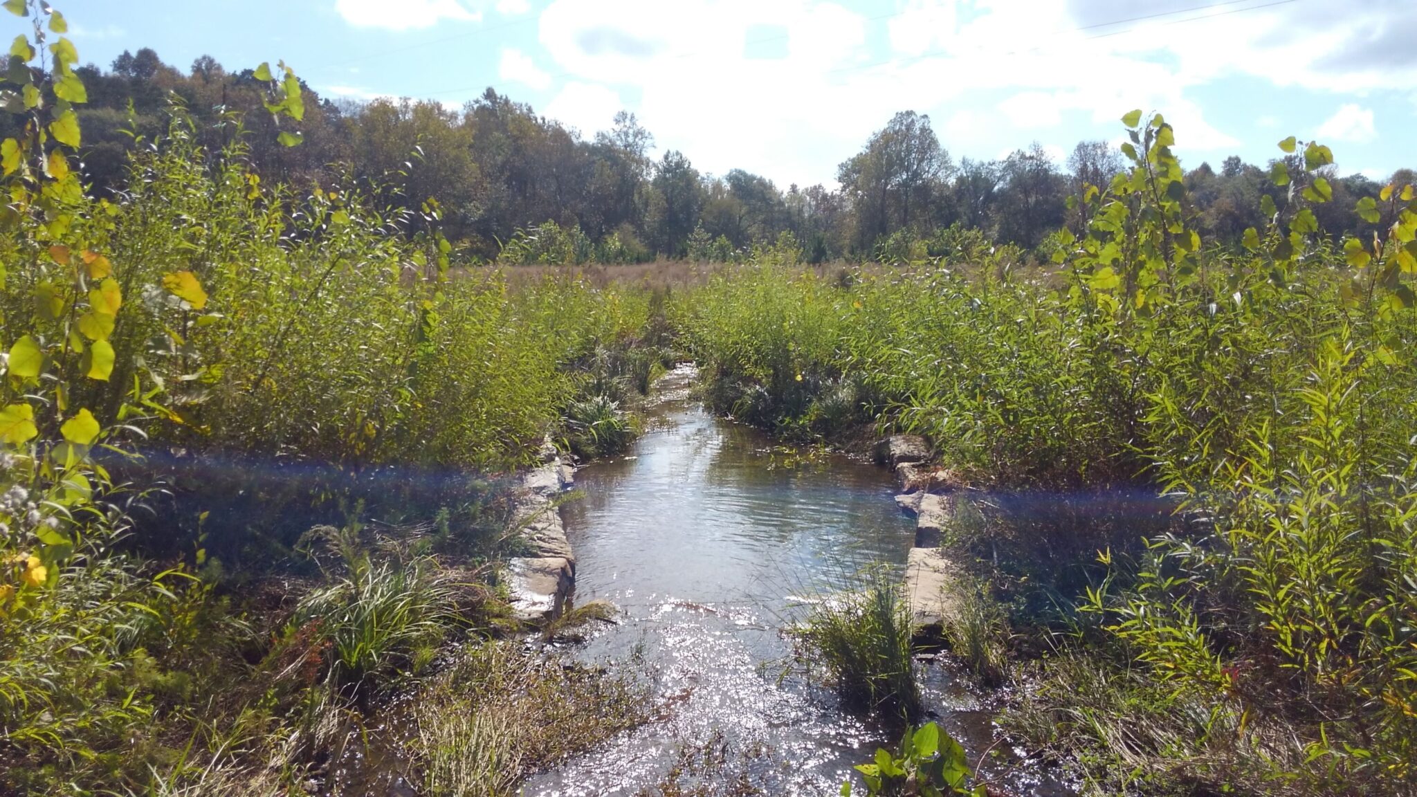 Soque River Mitigation Bank
