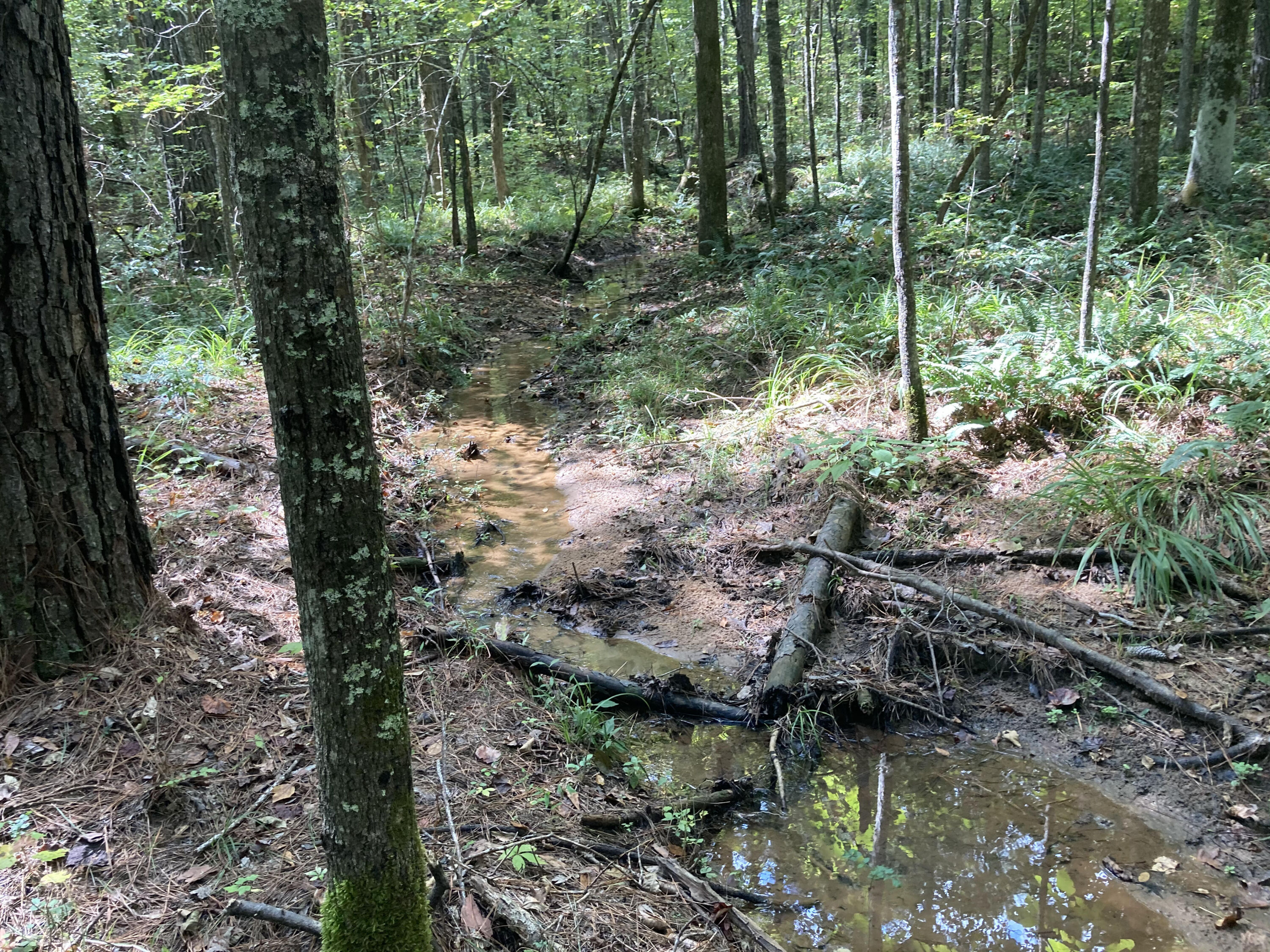 Tower Road 2 Mitigation Bank