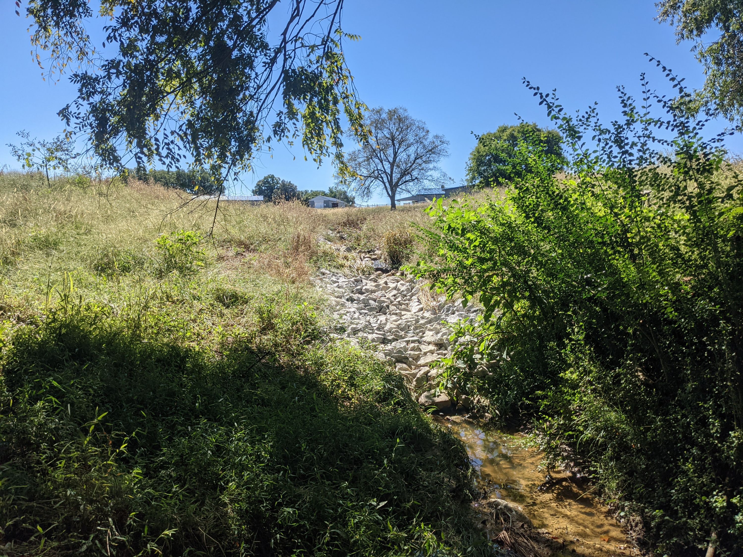 Feed & Seed Mitigation Bank