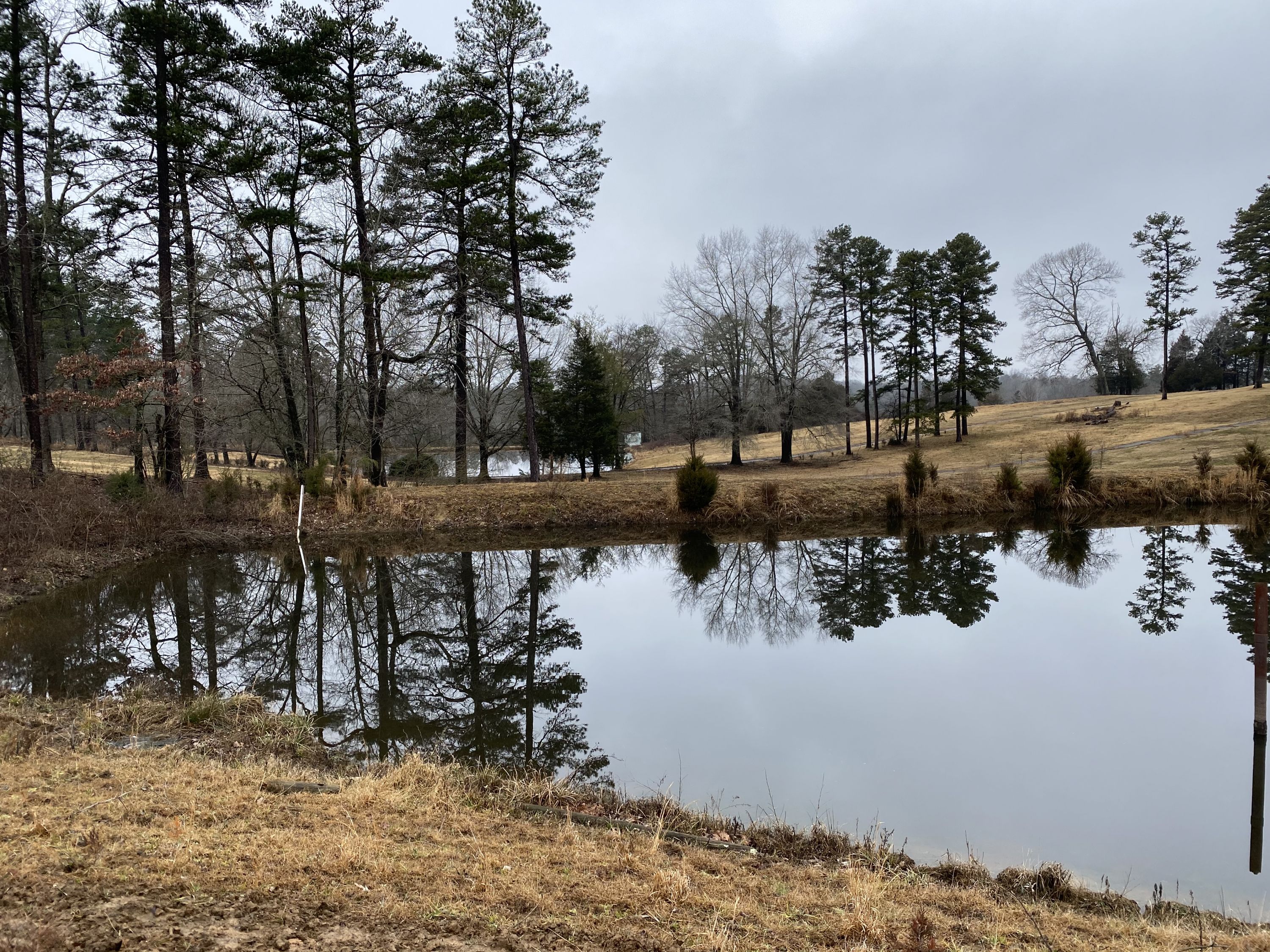 Walnut Wood Mitigation Bank