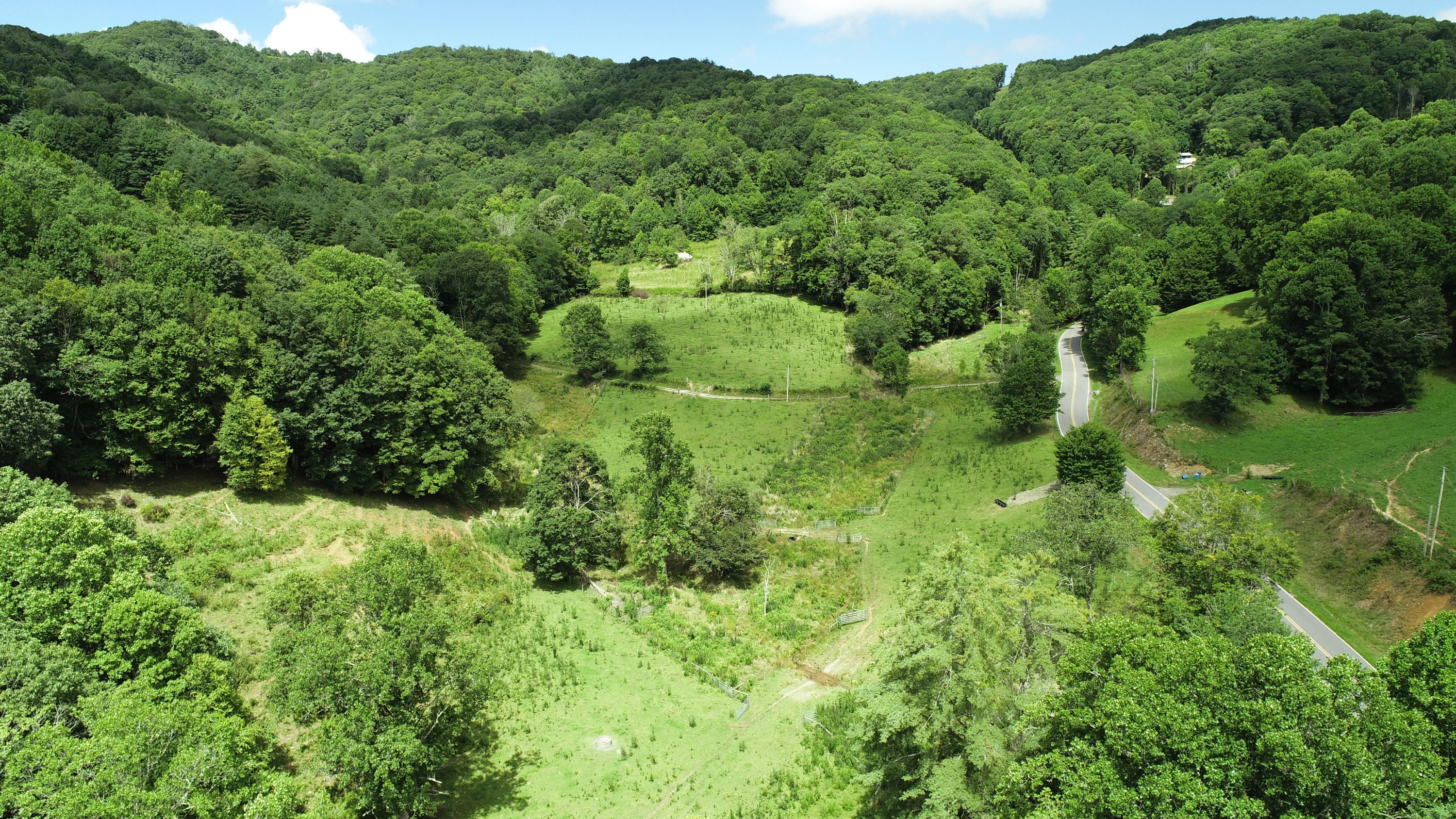 Puncheon Fork Mitigation Bank