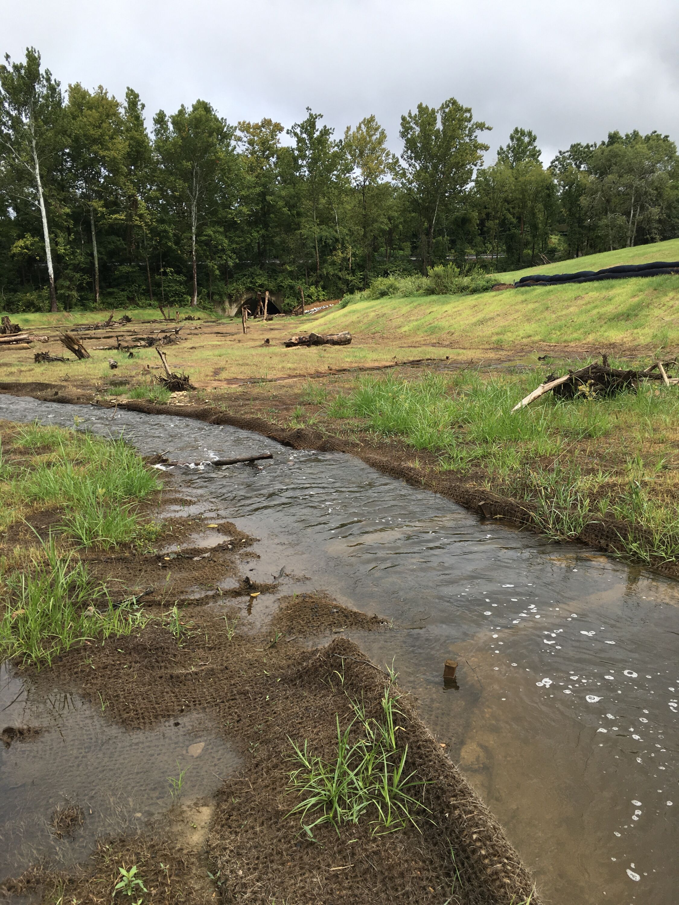 East Branch Codorus Creek