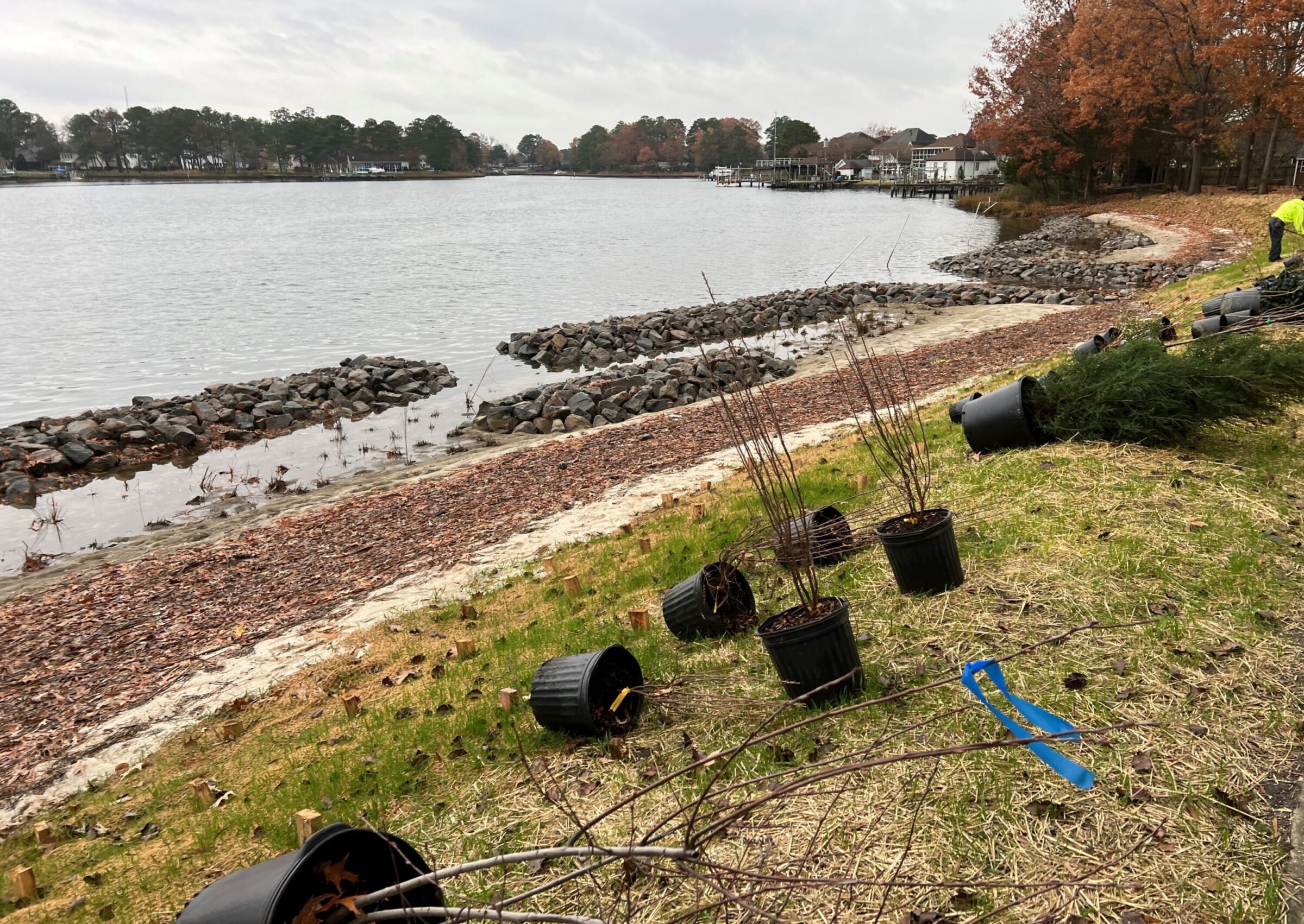 Recognizing How Bulkheads Change the Shoreline, Shore Stewards