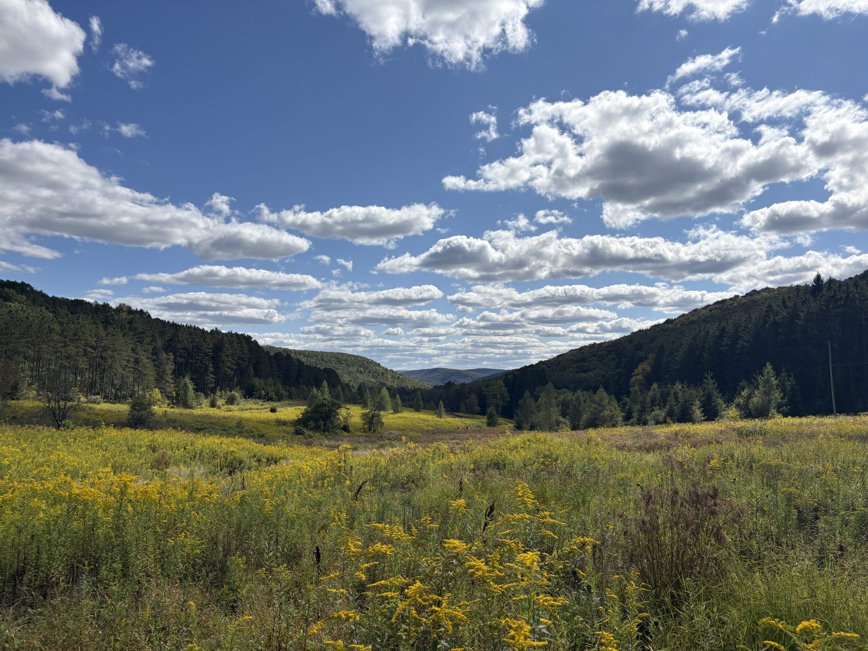 USRMB Phase 2 Mitigation Bank