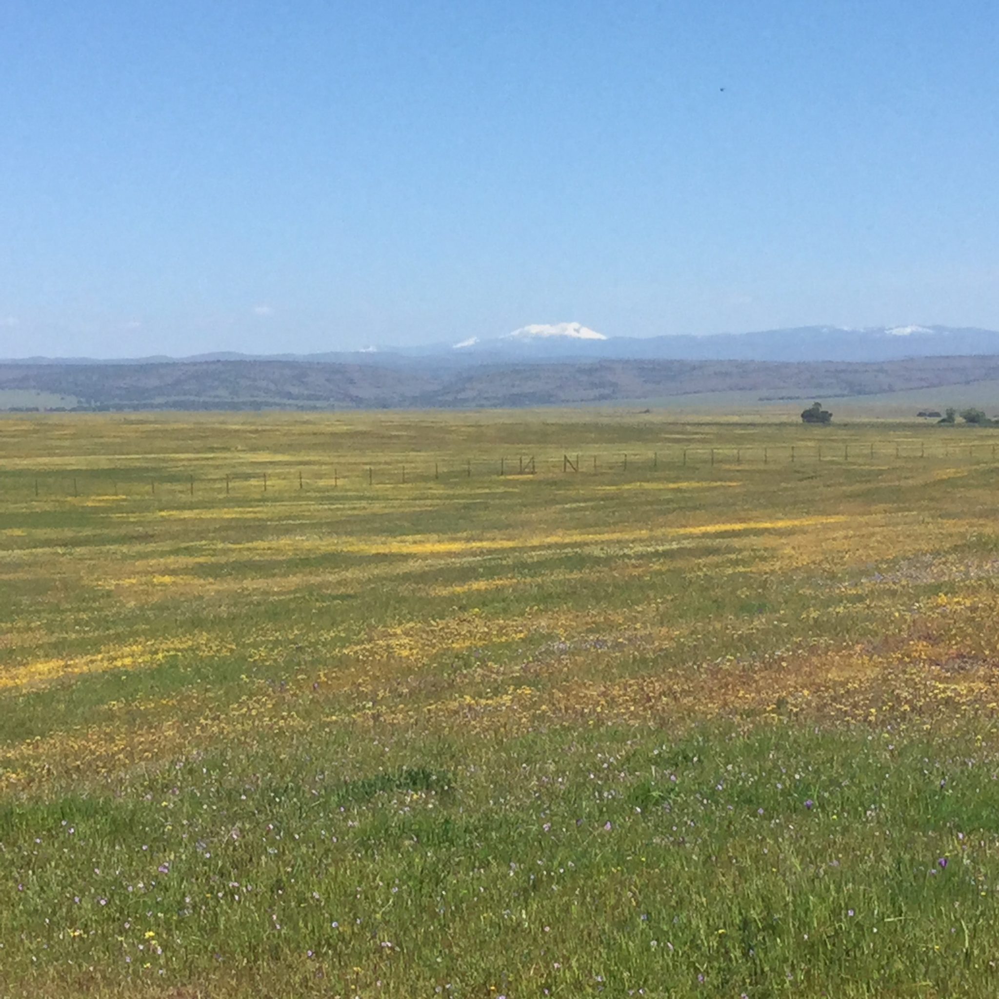 Hamilton Ranch Conservation Bank