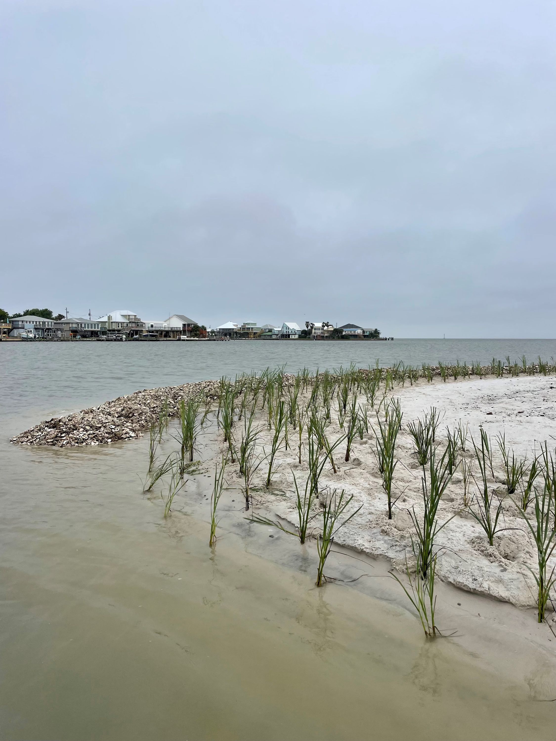 Graveline Bay Coastal Marsh Restoration