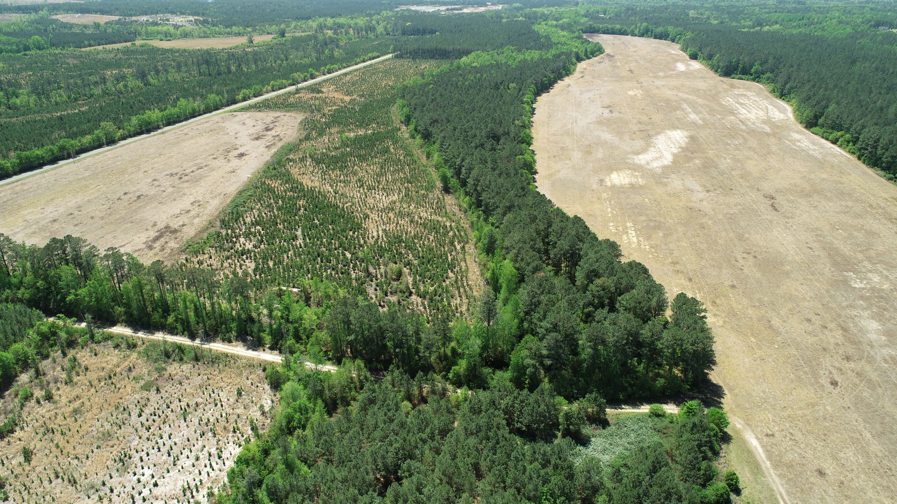 Newman Ranch Stream and Wetland Mitigation Bank