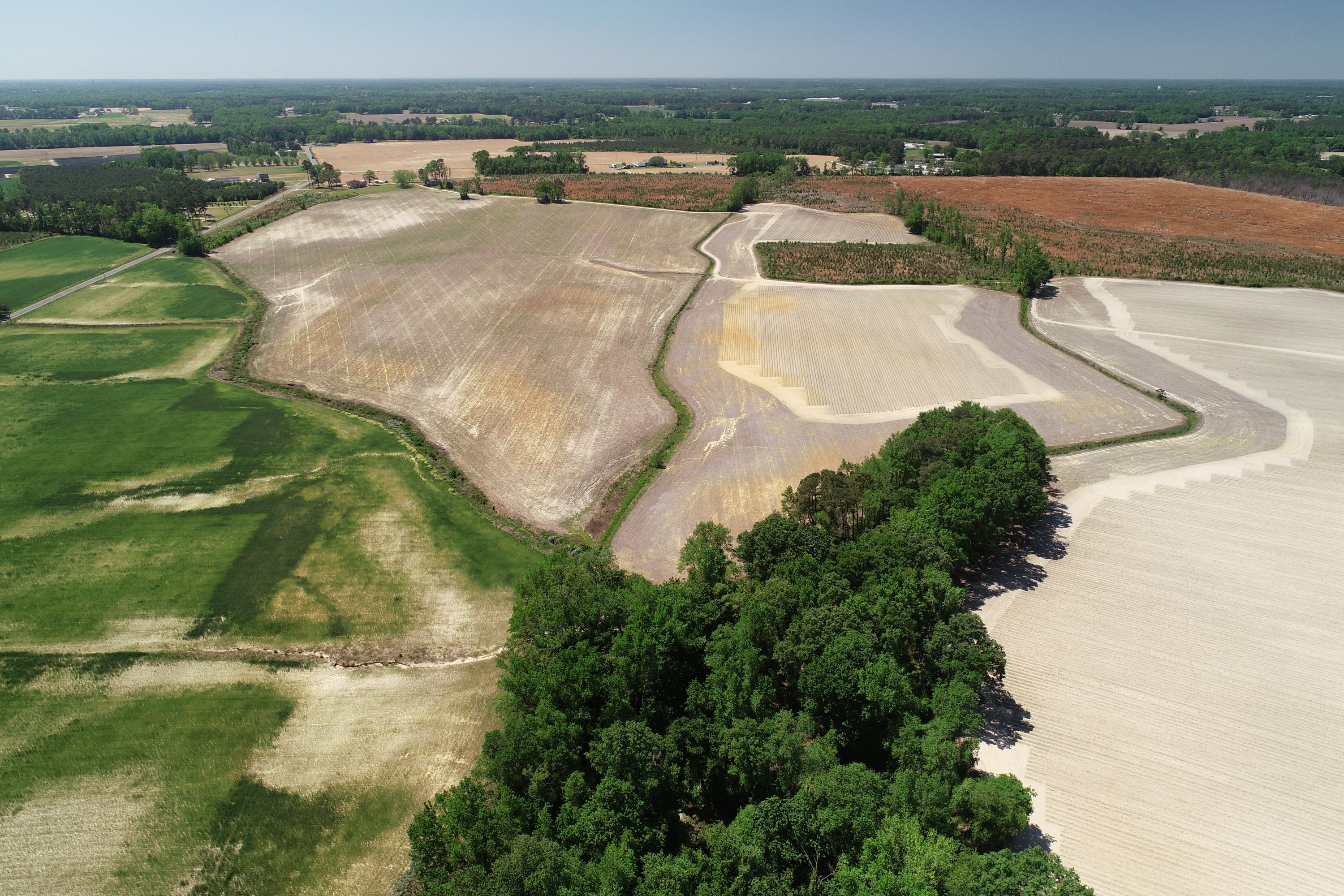 Pantera Bank Wetland Bank