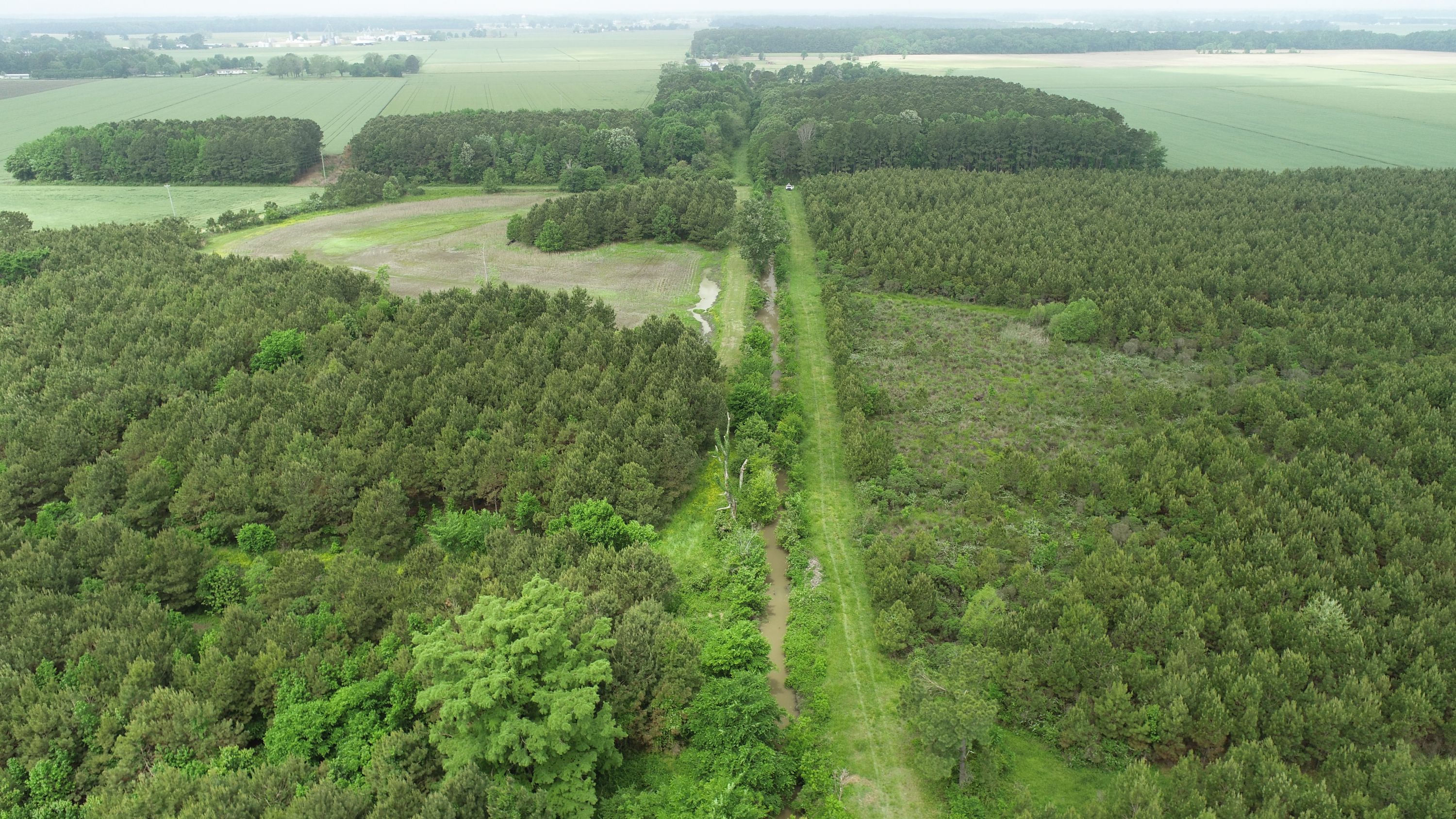 White Hat Stream and Wetland Mitigation Bank