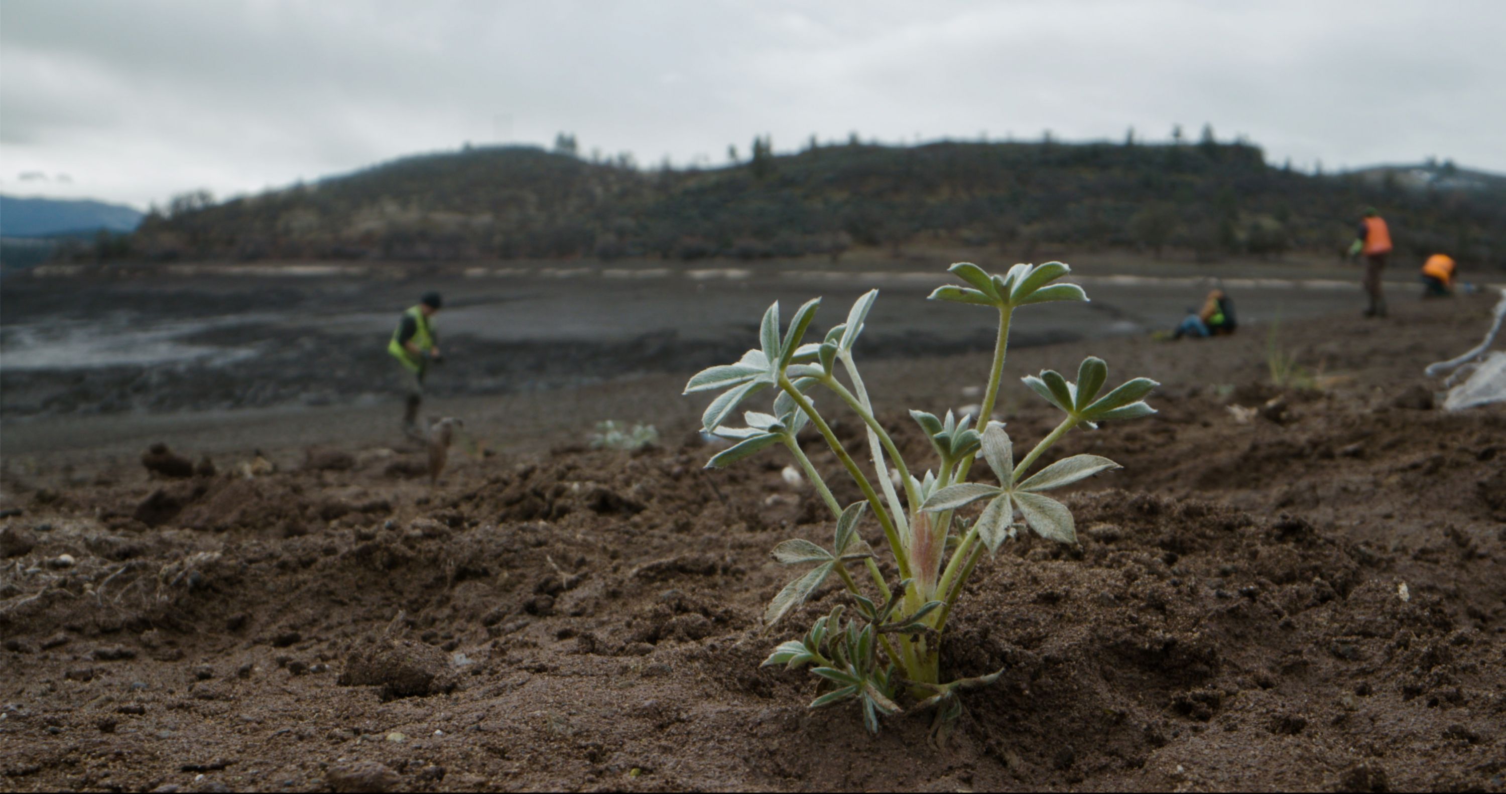 Klamath River Restoration StoryMap