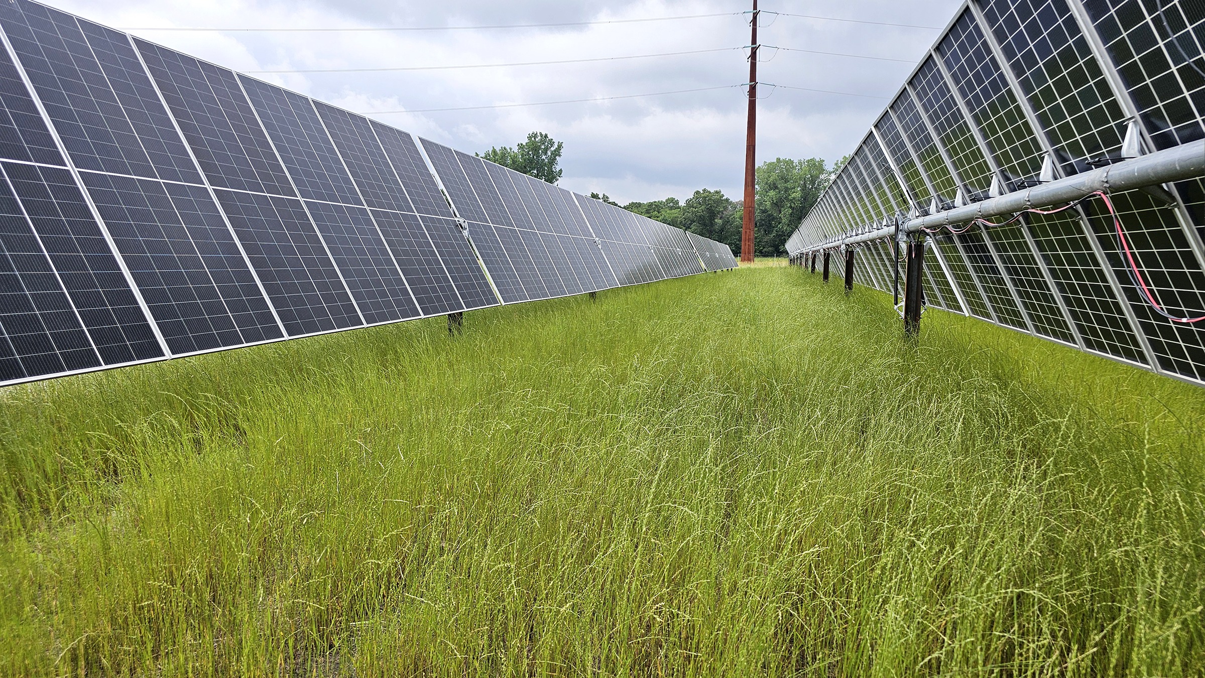 Mammoth Solar North Arrays