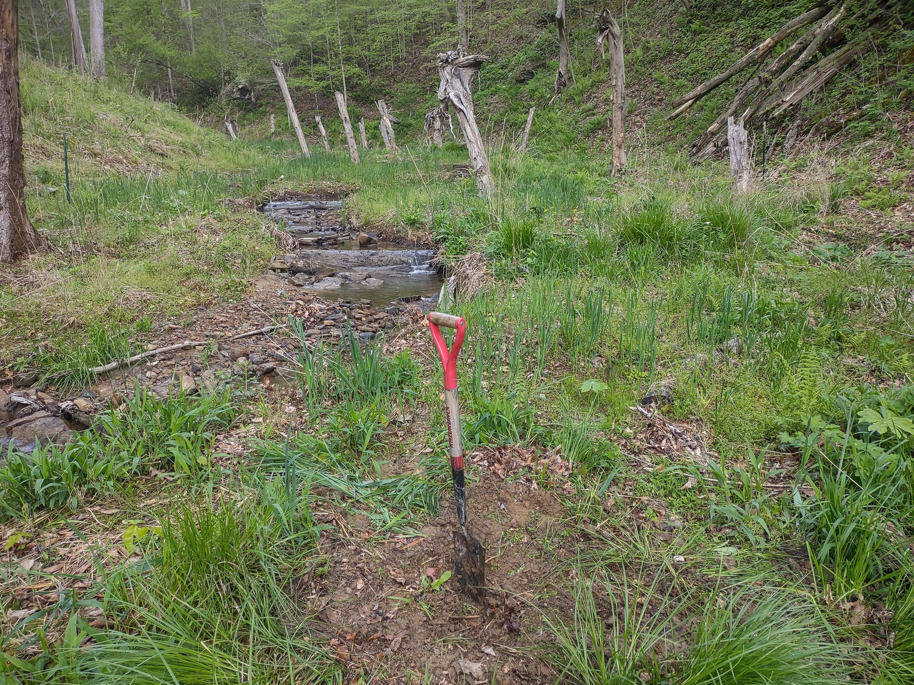 Larkin Hollow Mitigation Bank