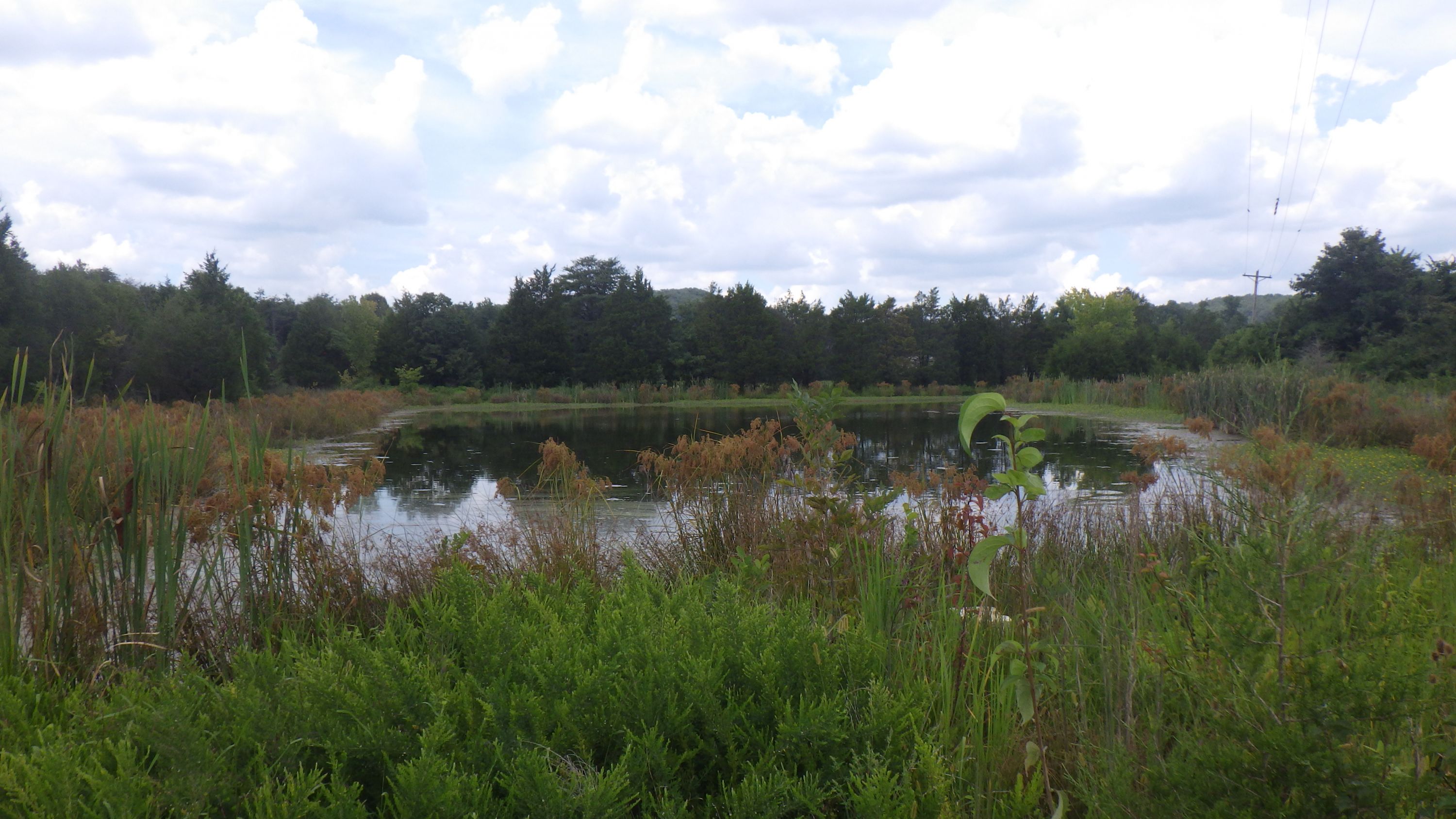 Saltwell Springs Development and Wilsons Bottom Wetland Mitigation Site