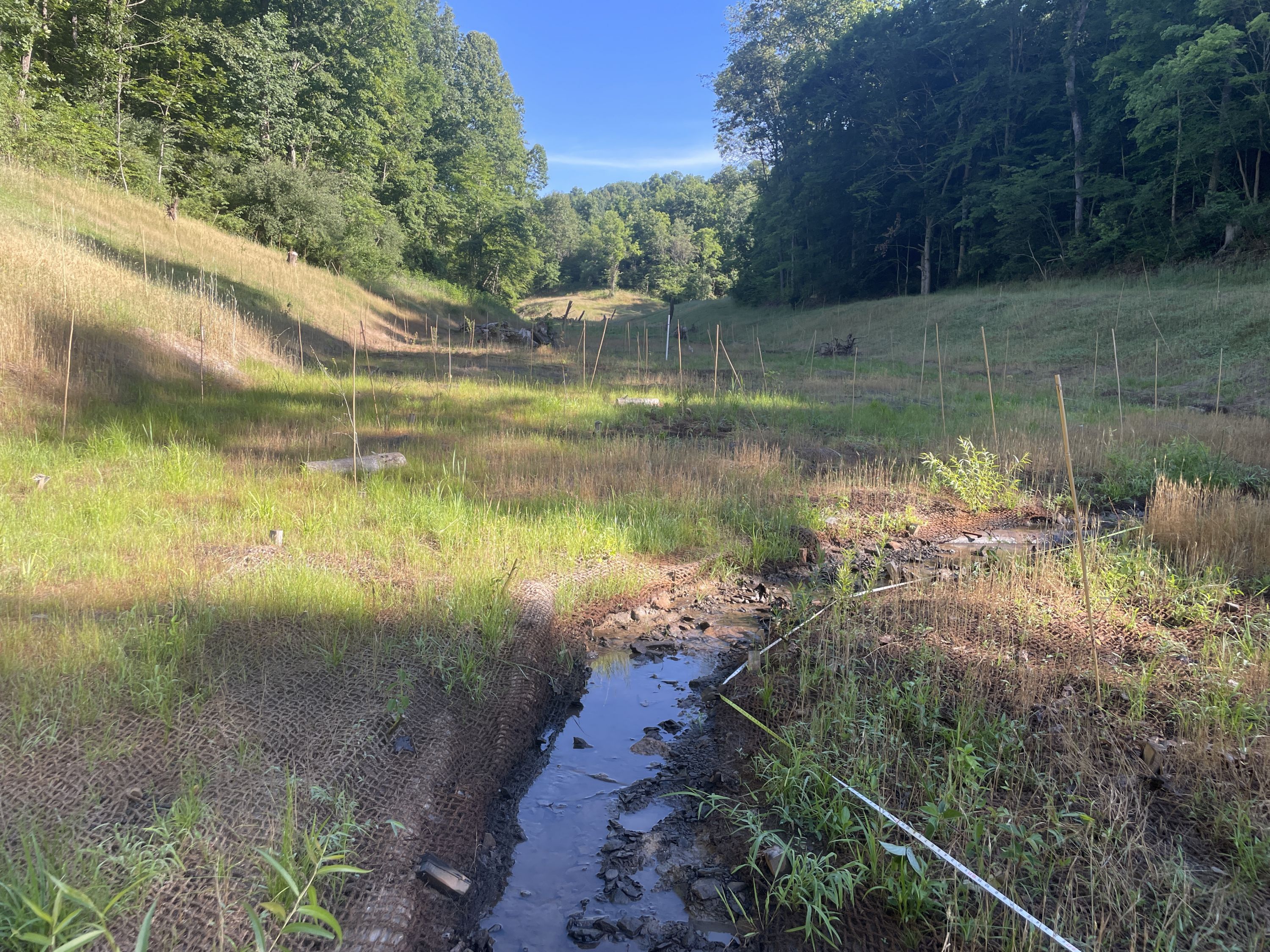 Cherry Ridge Mitigation Bank