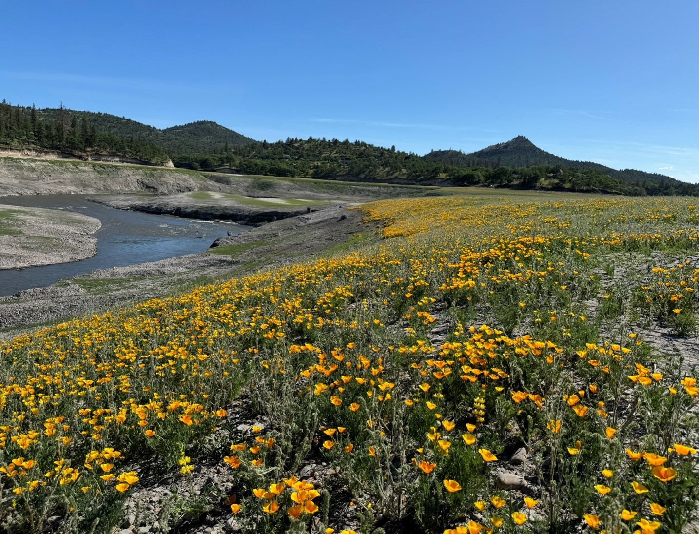 Klamath River Renewal
